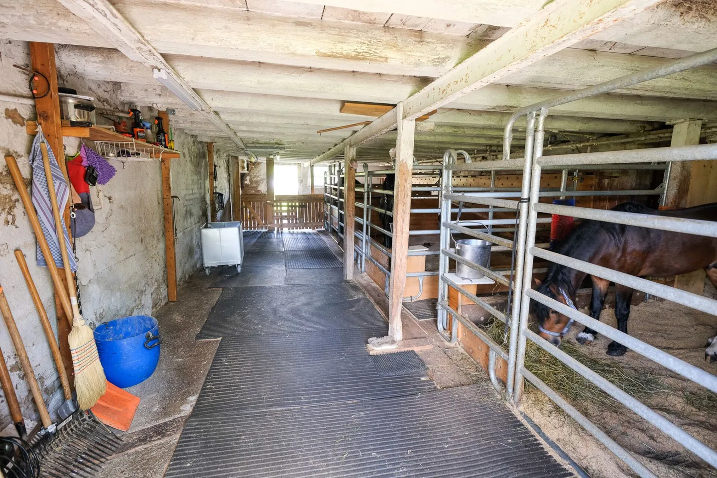 Farmhouse with 2 apartments on 3,935 m2 - Photo 10 of 20