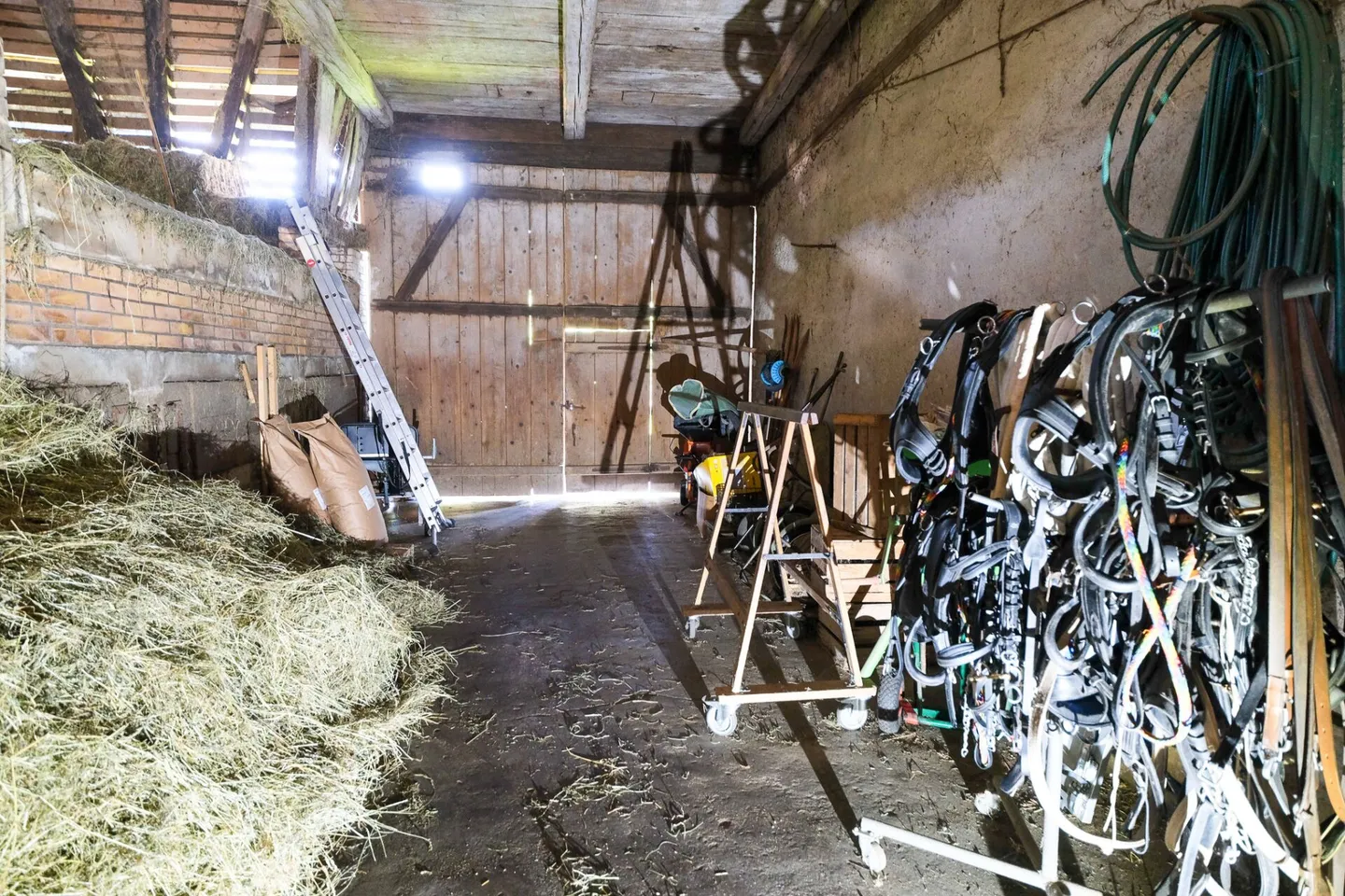 Farmhouse with 2 apartments on 3,935 m2 - Photo 12 of 20