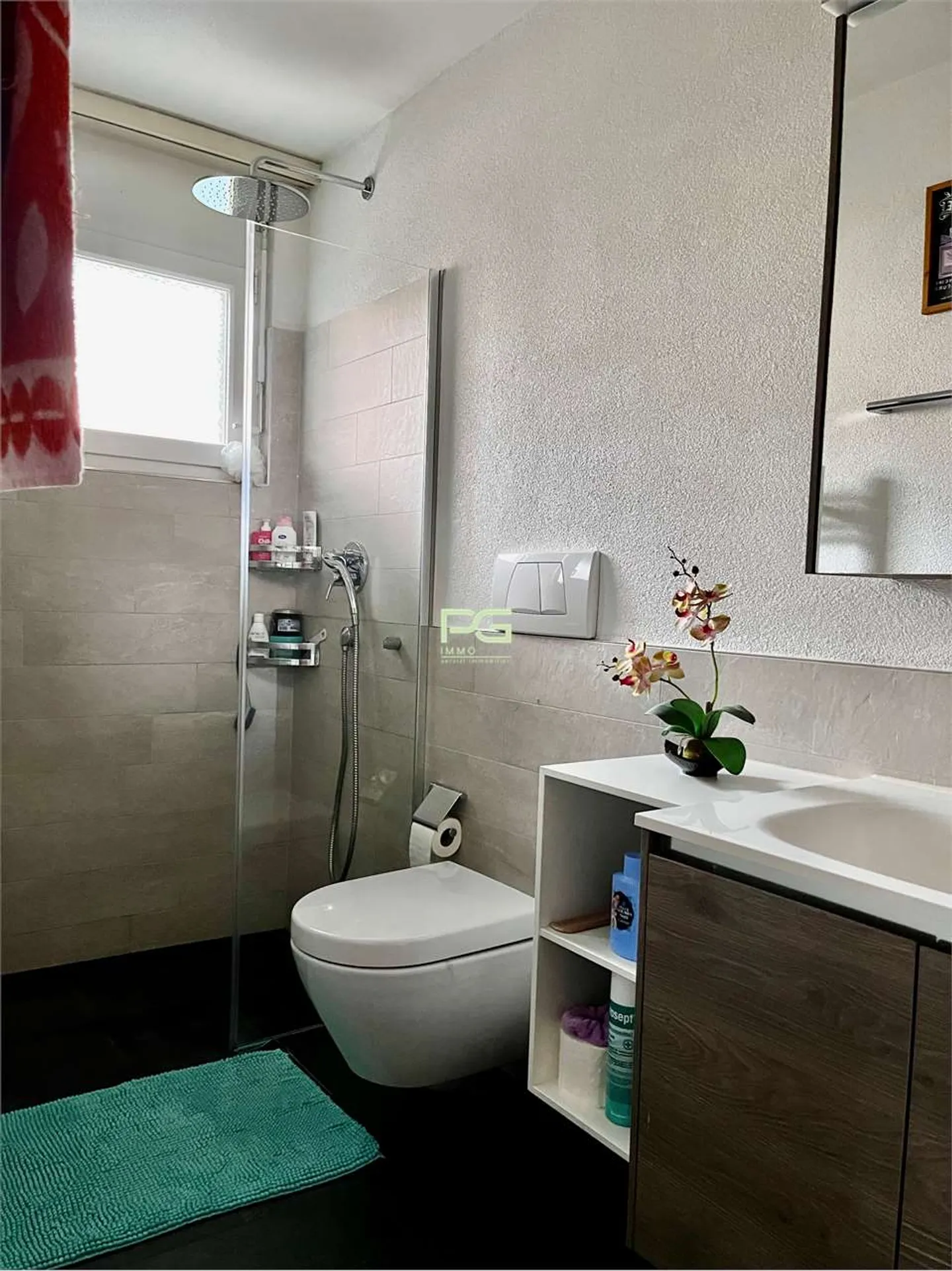 Large Single-Family House in Monte Carasso - Photo 6 of 13