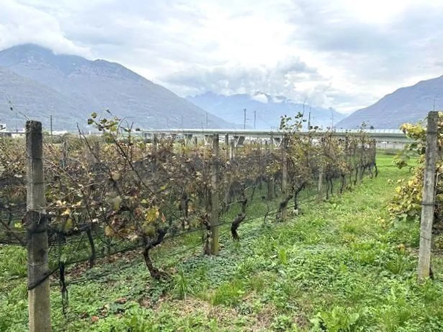 Villa di 6 1/2 locali con vignetto - Foto 18 di 29