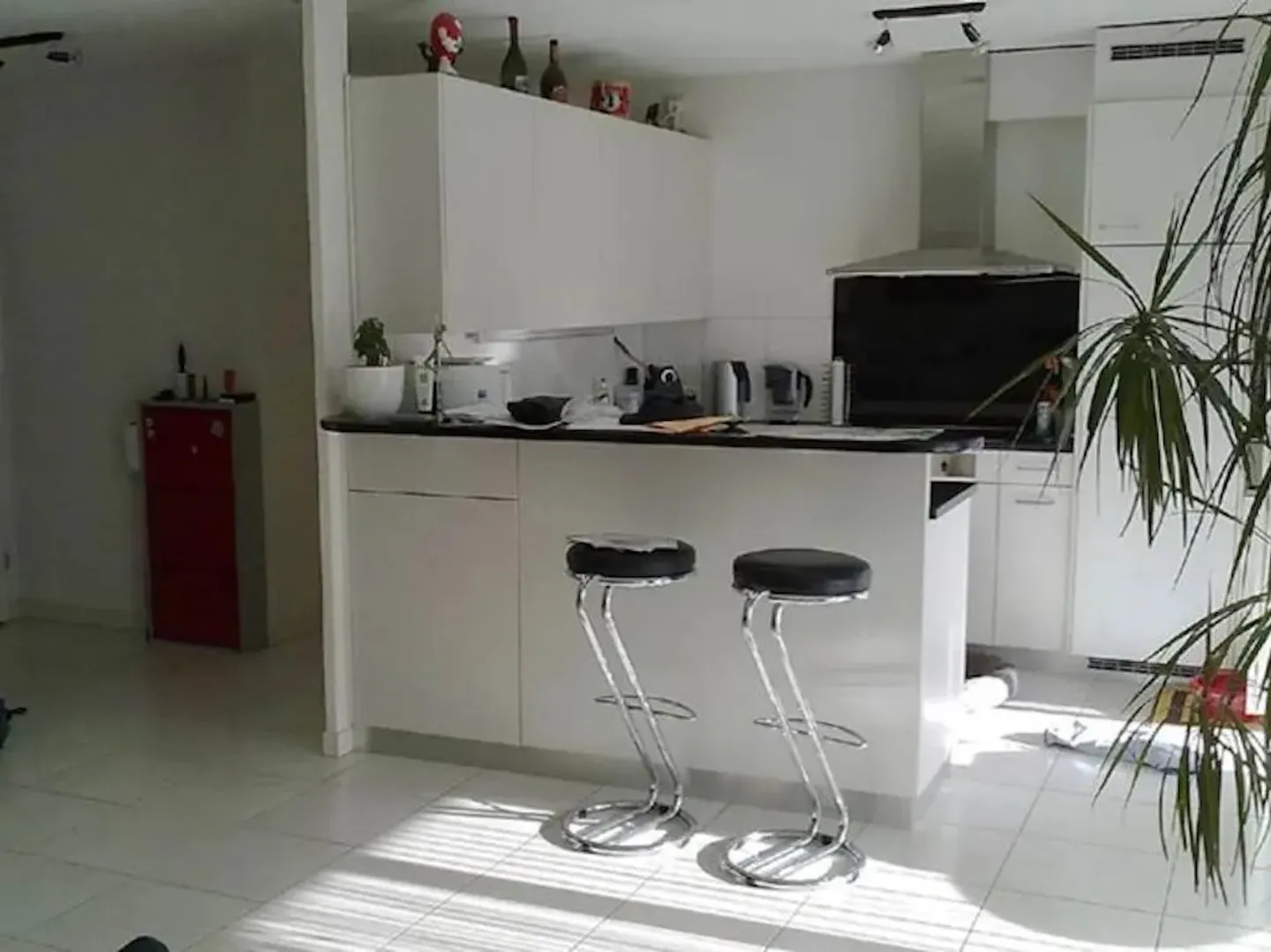Appartamento in affitto - Foto 1 di 10