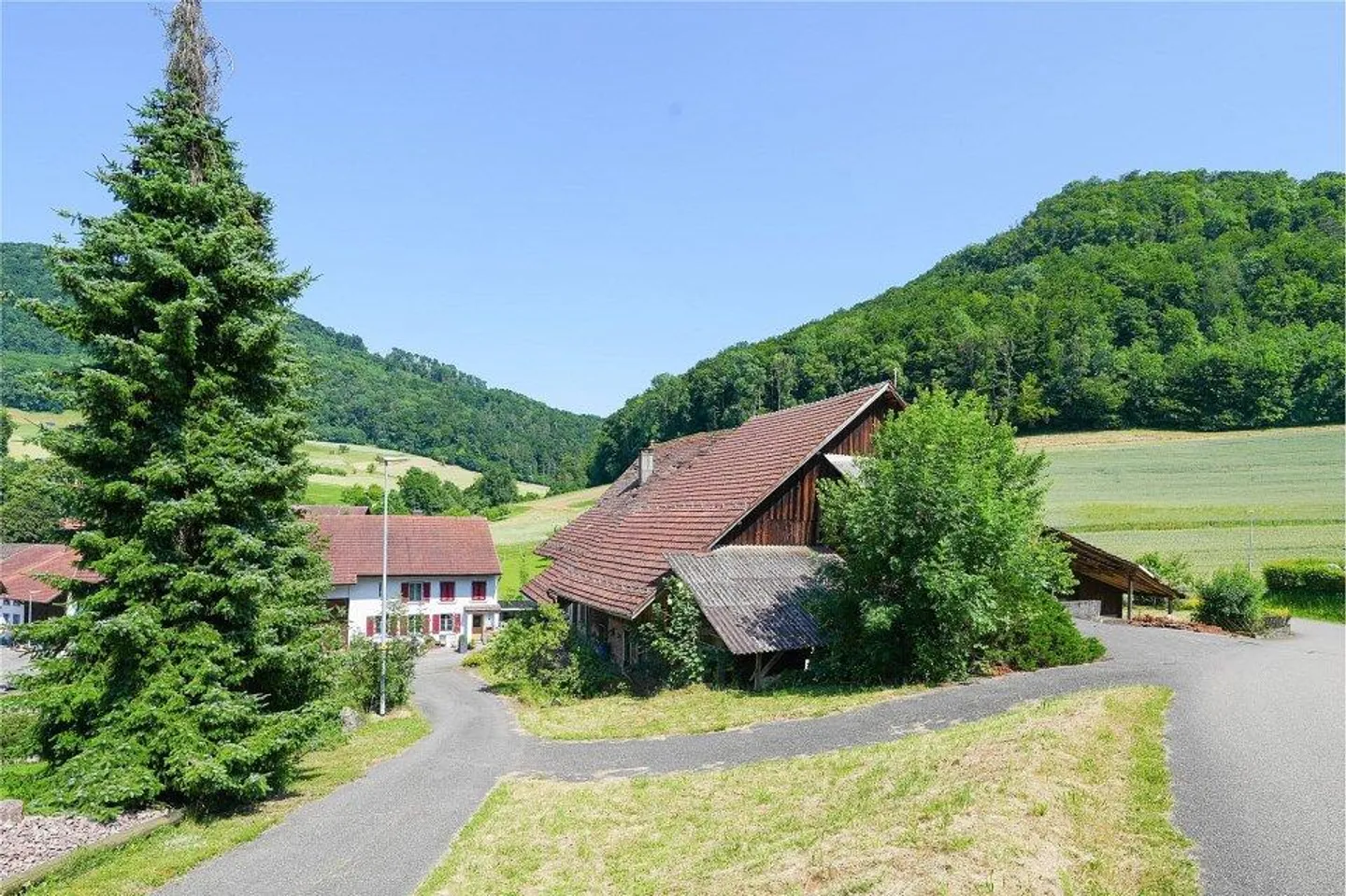 Proprietà con progetto di nuova costruzione approvato - 1499 m2 di terreno edificabile - Foto 4 di 6