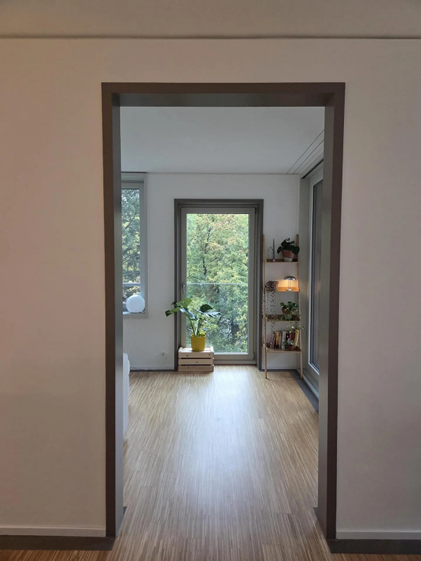 Appartamento luminoso e moderno di 2,5 stanze a Zurigo Triemli (Distretto 9) – Ava - Foto 4 di 11