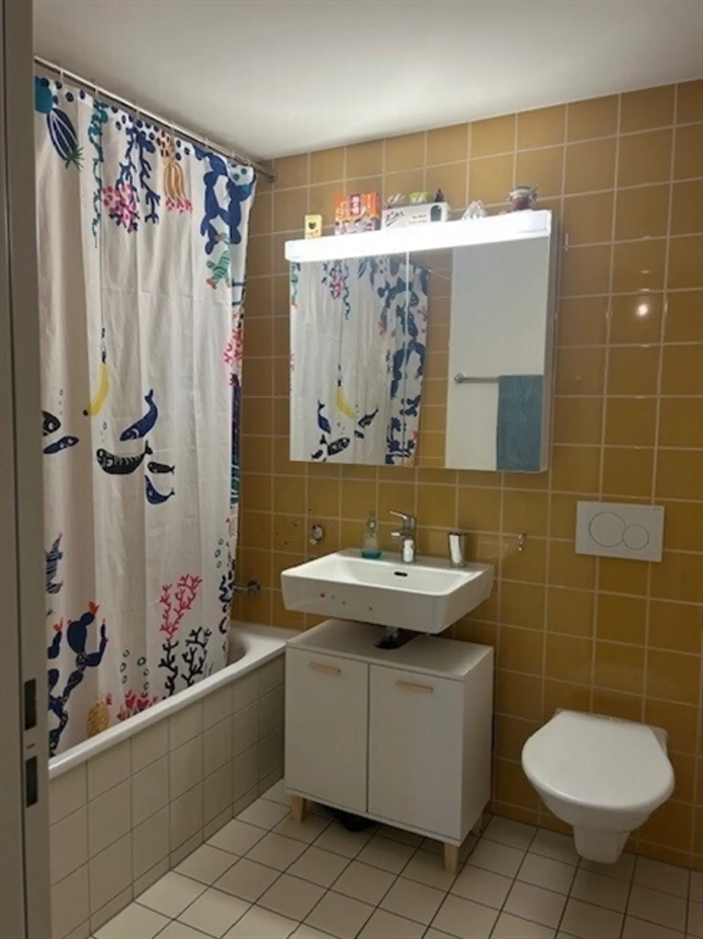 APPARTAMENTO 4½ STANZE A ZURIGO - DISTRETTO 12 SAATLEN, ARREDATO, TEMPORANEO - Foto 7 di 10