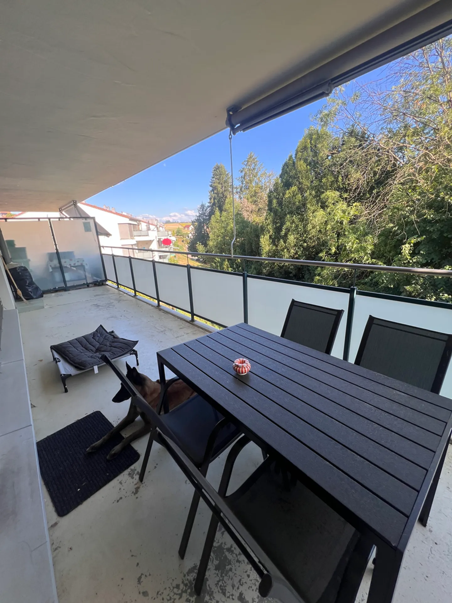 Appartamento Incantevole con Balcone - Foto 3 di 7