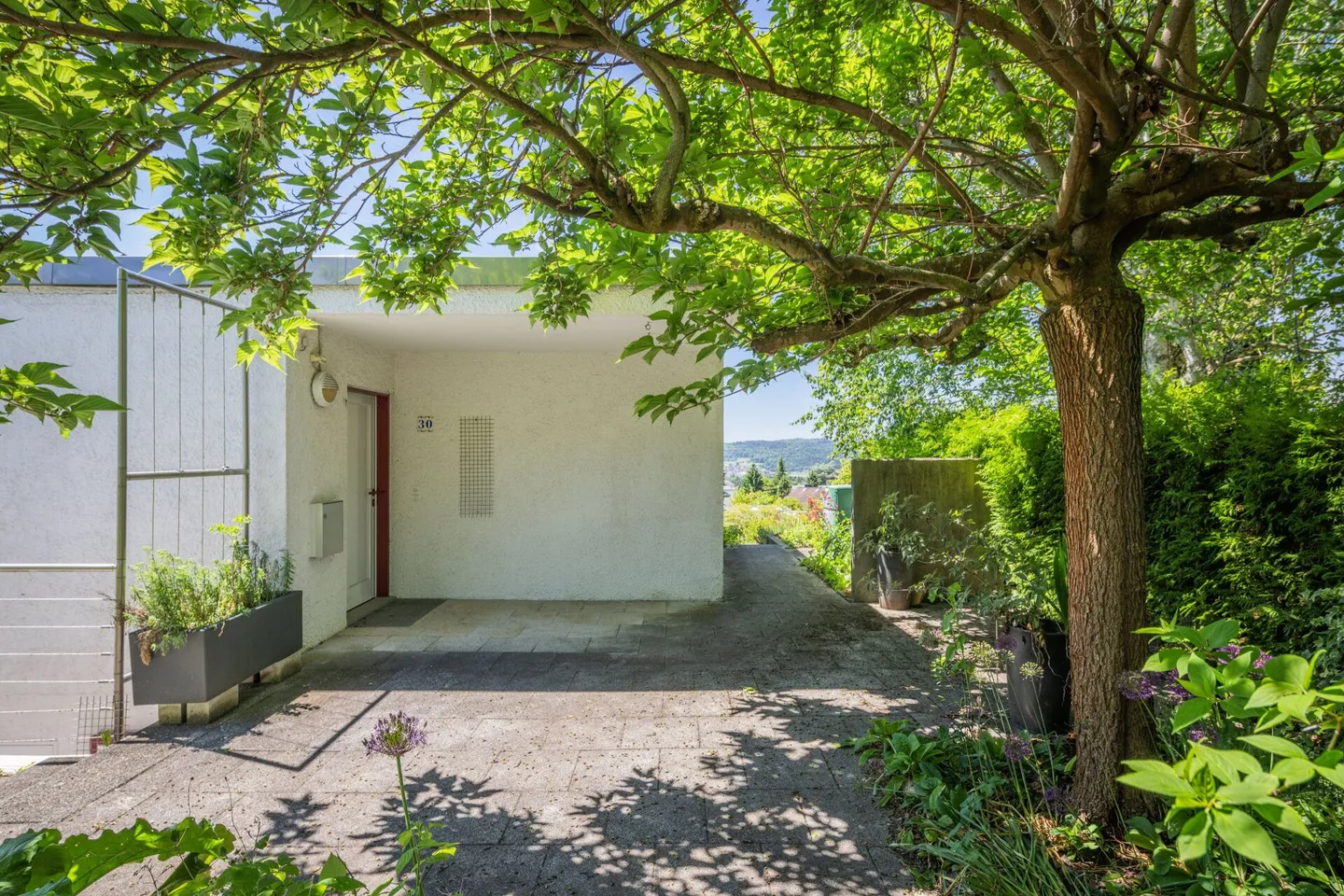 Spacious Living with a View - Photo 5 of 11