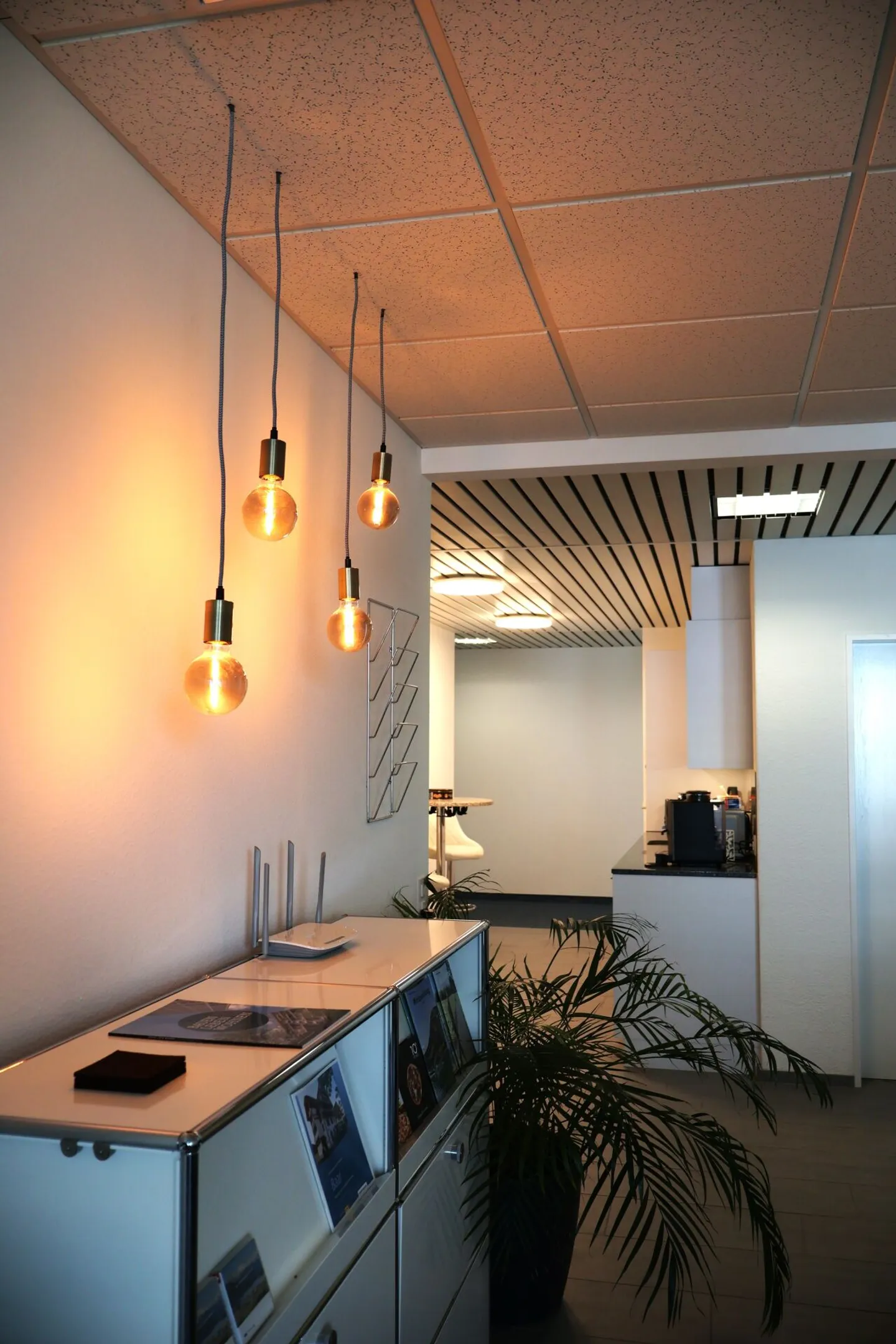 Office Baar Canton Zug - Photo 7 of 11