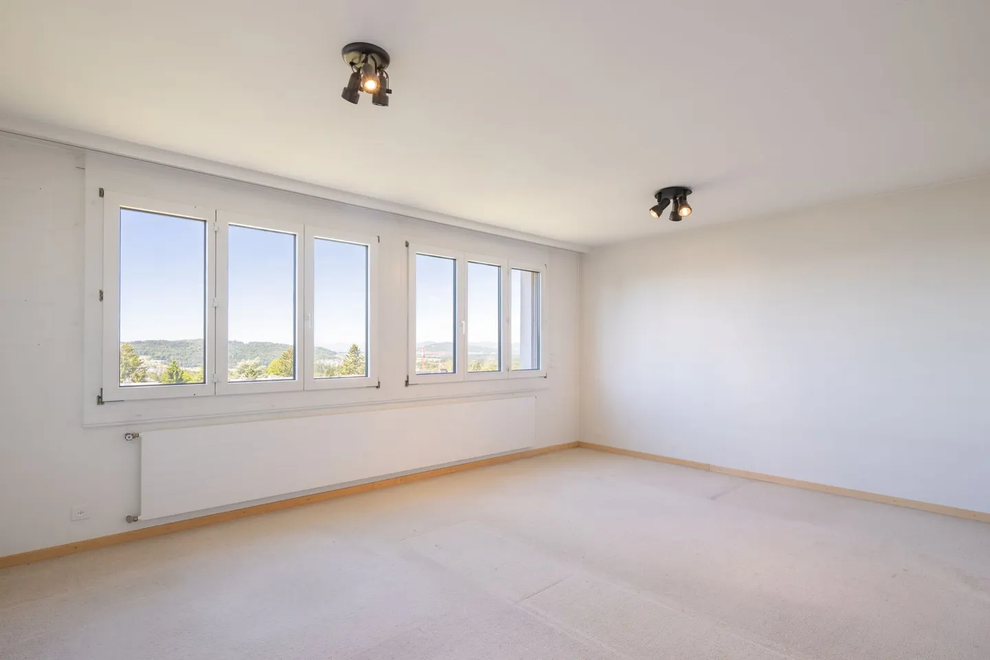 Spacious Living with a View - Photo 11 of 11