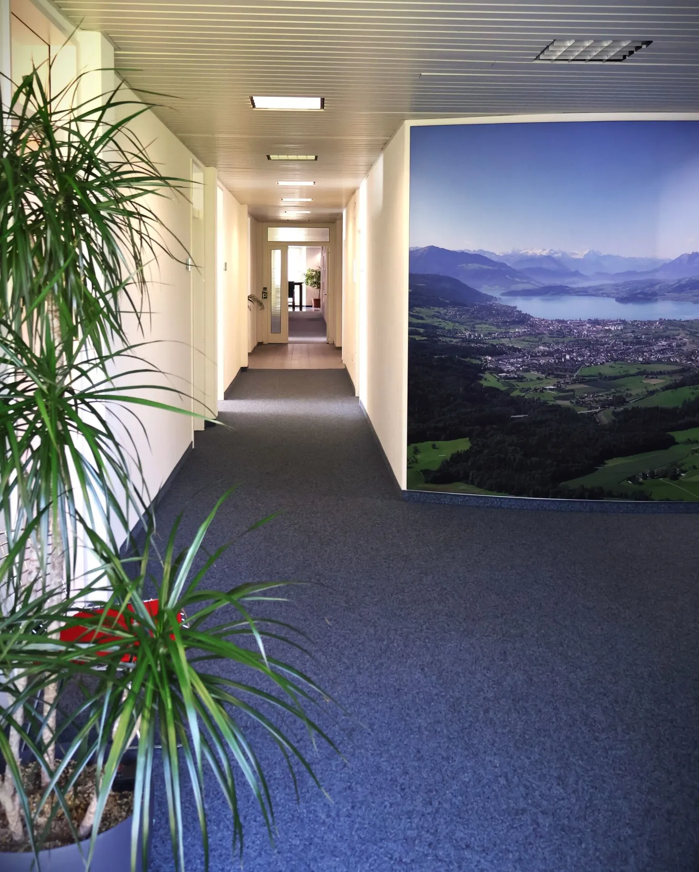 Office Baar Canton Zug - Photo 8 of 11