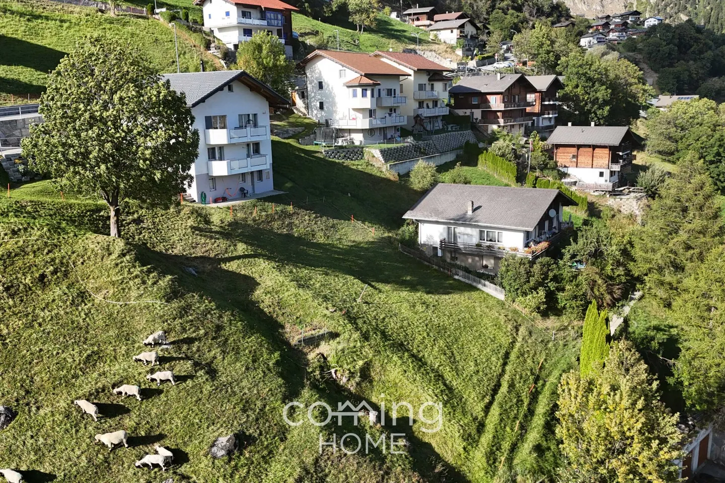 Terrain de construction fantastique à Mund - Emplacement ensoleillé avec vue panoramique - Photo 3 sur 10