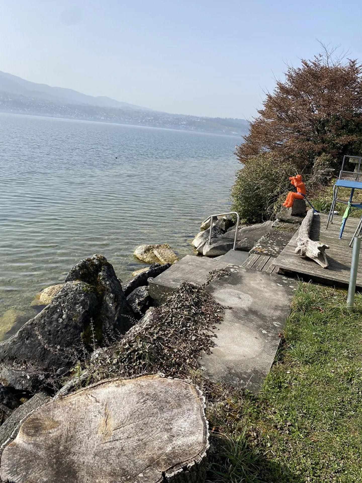 Penthouse apartment in Uerikon with private lake access - Photo 18 of 22