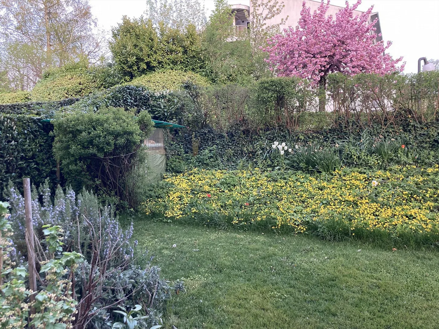 Geräumige Wohnung mit Garten - Foto 1 von 7