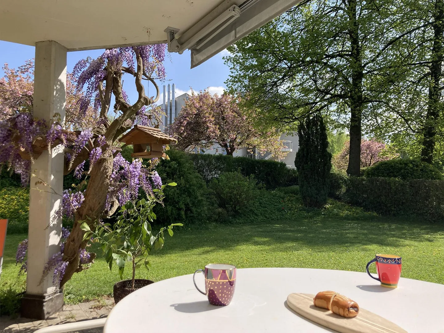 Geräumige Wohnung mit Garten - Foto 2 von 7