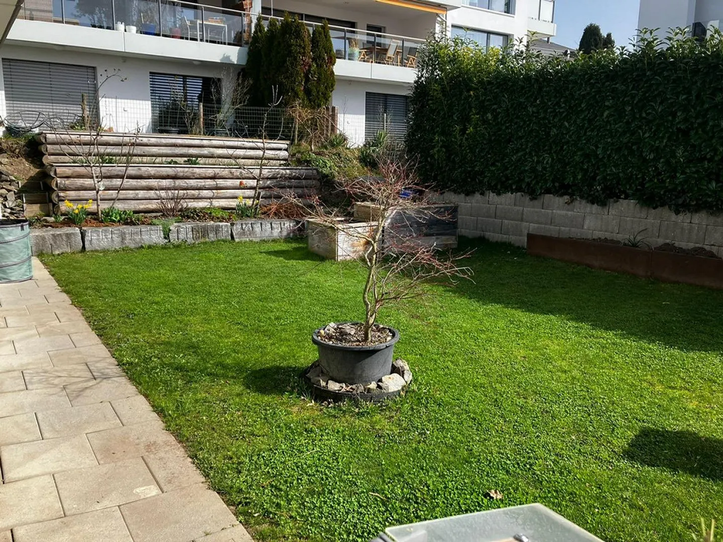 Charmante Wohnung mit Seeblick - Foto 8 von 13