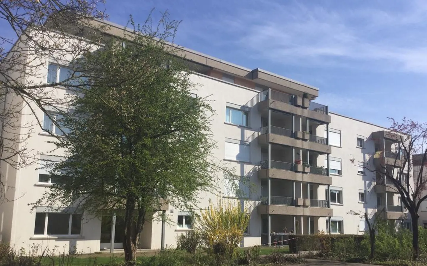 Votre oasis de vacances à Suhr - Photo 1 sur 12