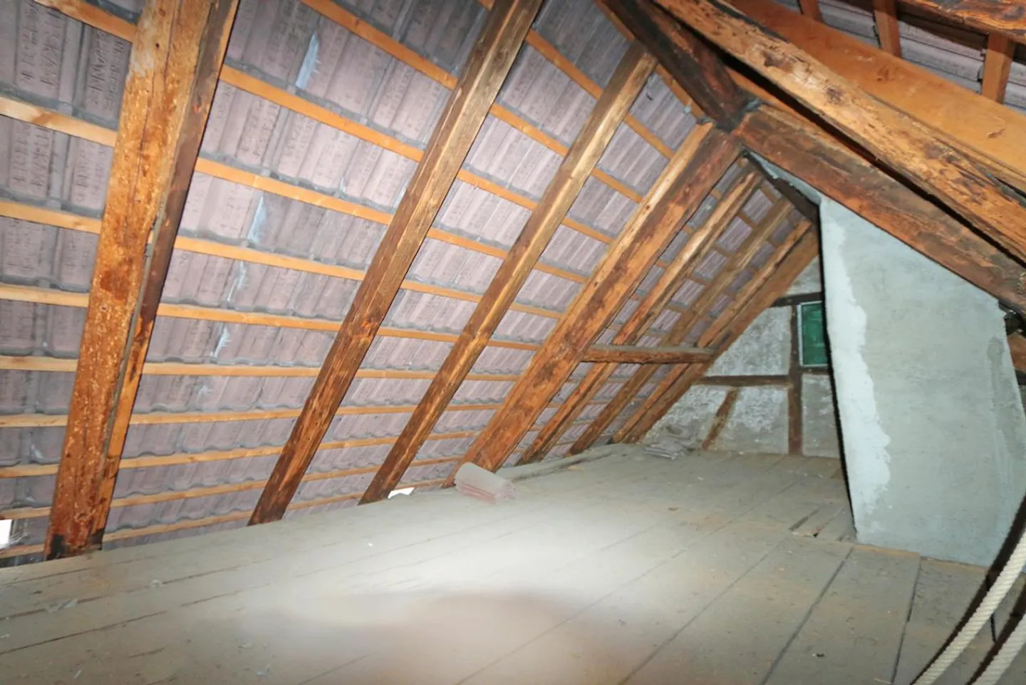 Un'opportunità emozionante con carattere e prospettiva. - Foto 17 di 19