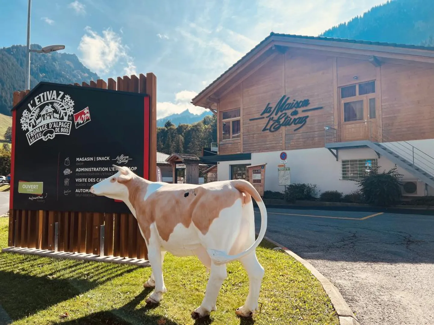 Chalet a schiera a Etivaz - Foto 11 di 12