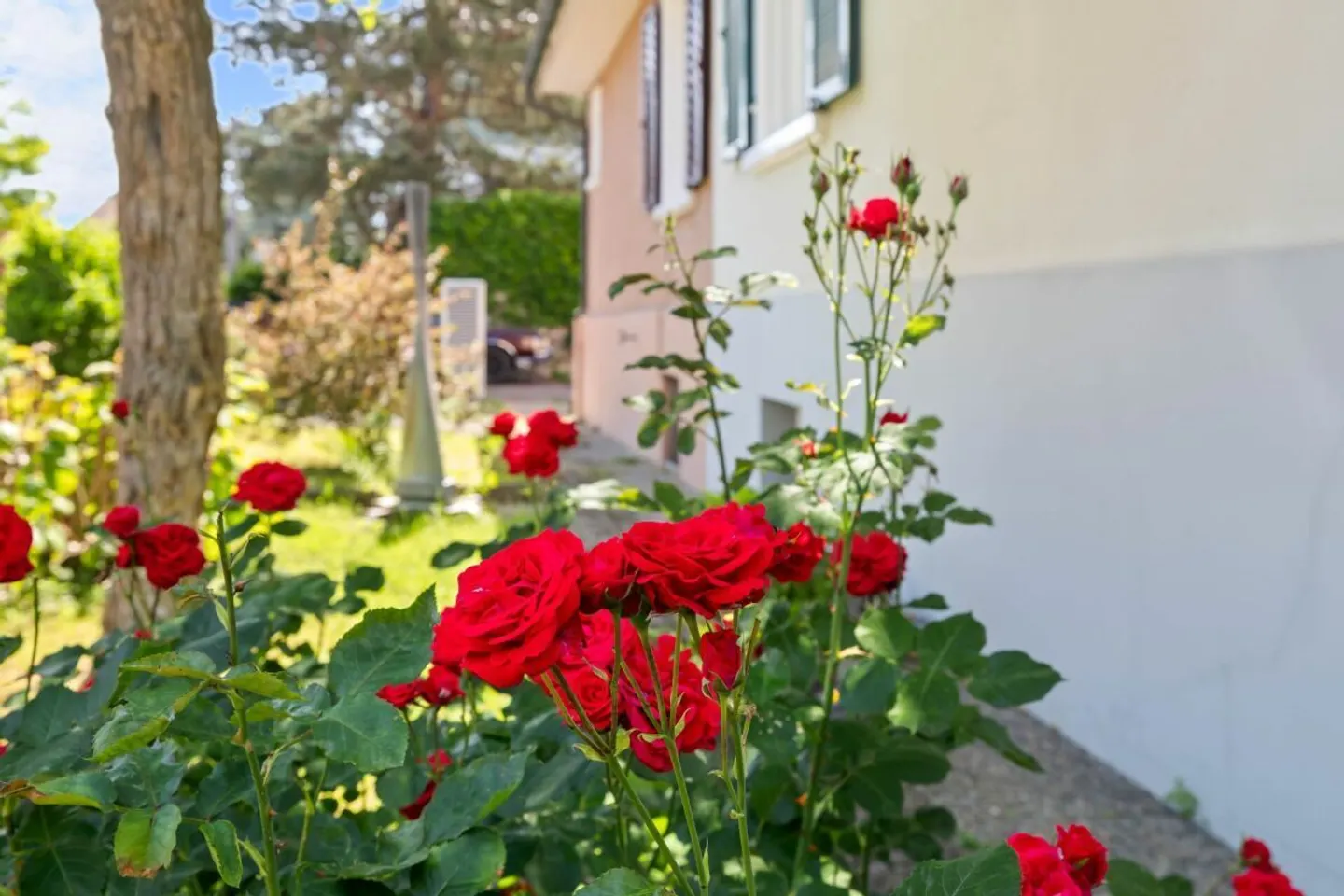 Charmantes Einfamilienhaus mit Garten - Foto 17 von 18