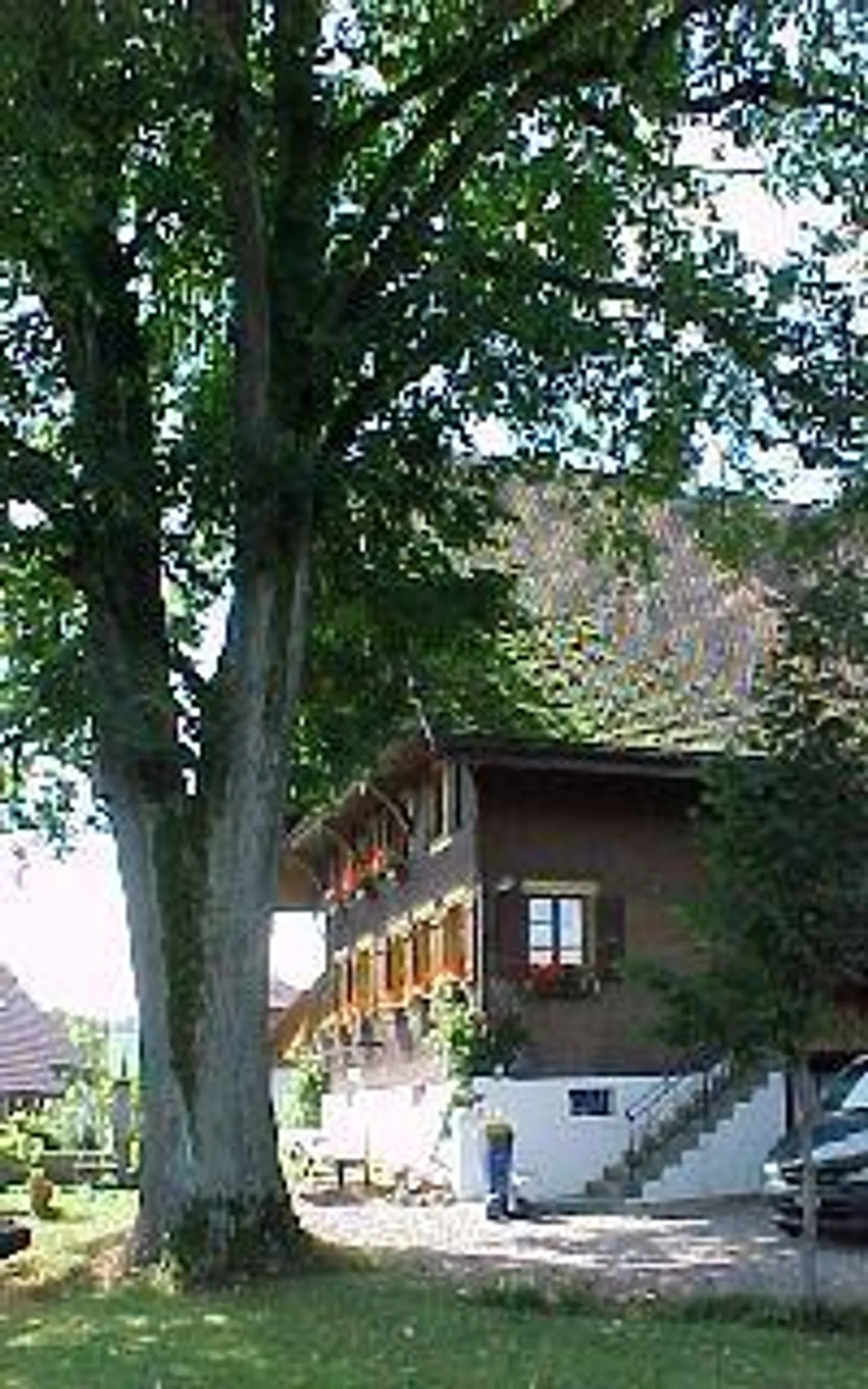 Farmhouse - Photo 2 of 17