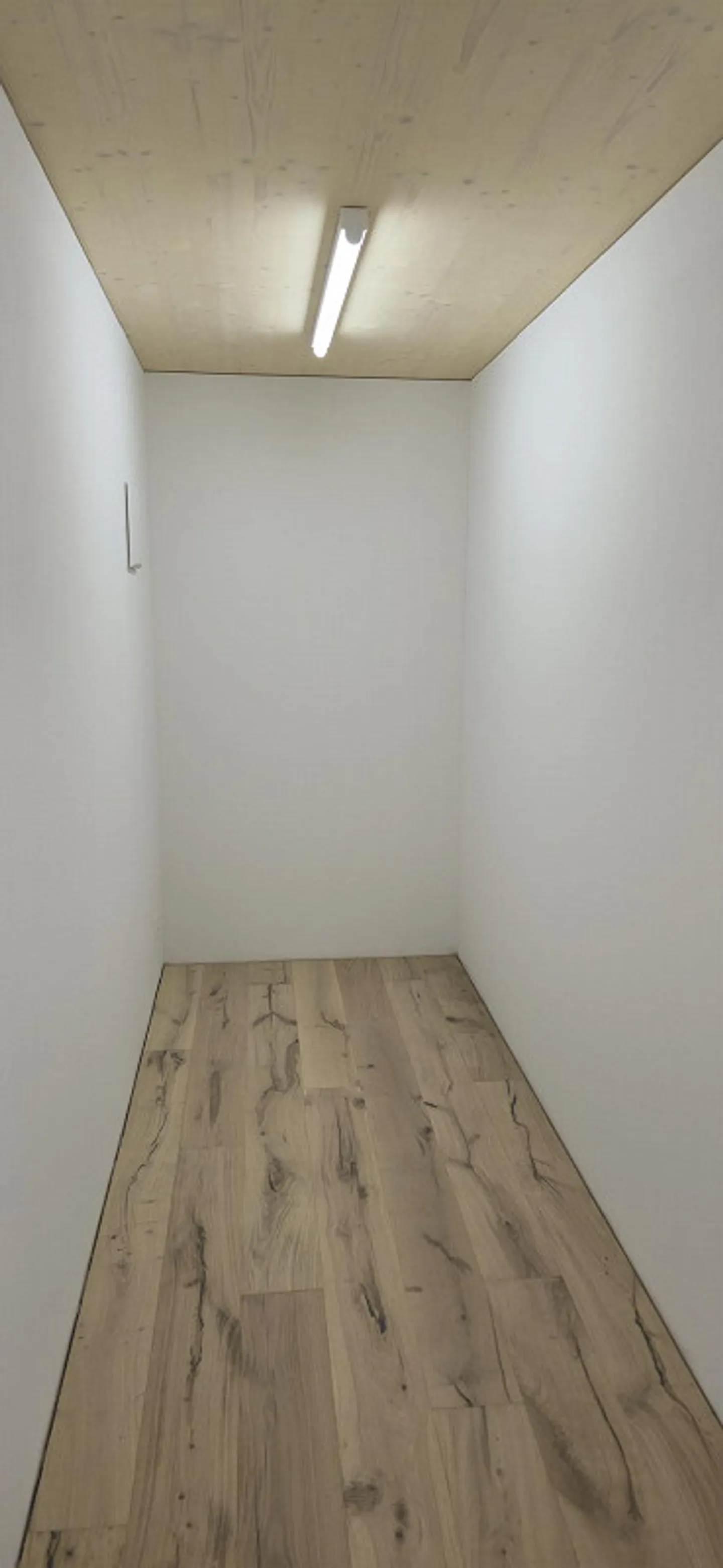 Moderne Wohnung nahe Hallwilersee - Foto 5 von 6