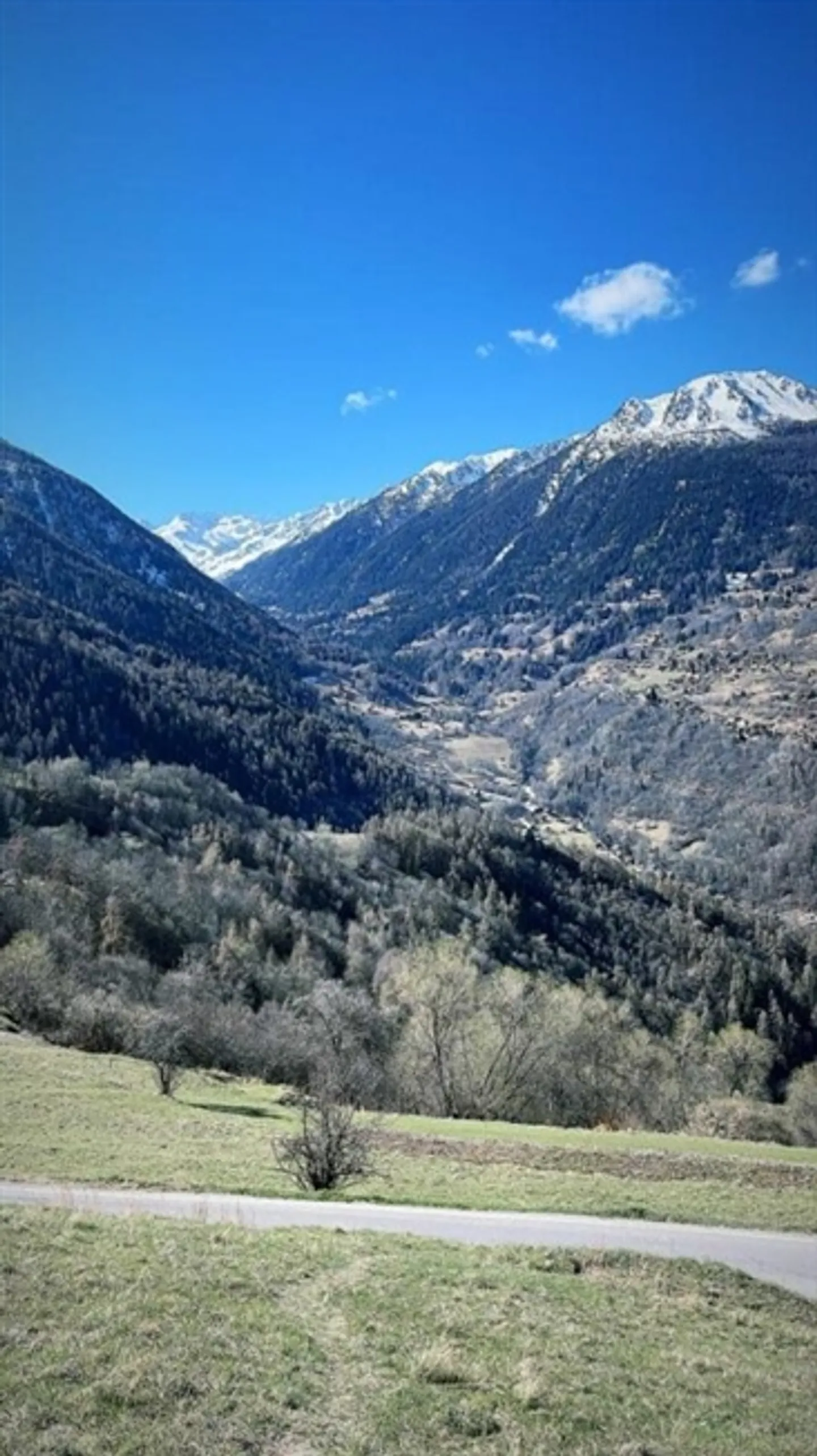 Land in Clèbes (Nendaz) - Photo 4 of 6