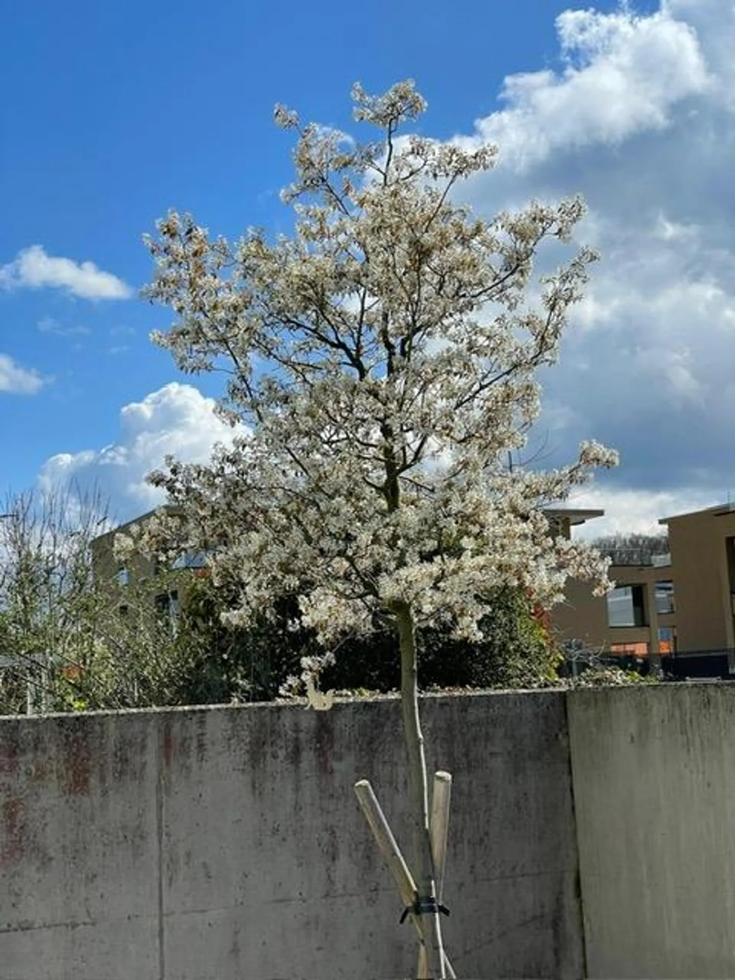 TEMPS EN FAMILLE - Photo 14 sur 15