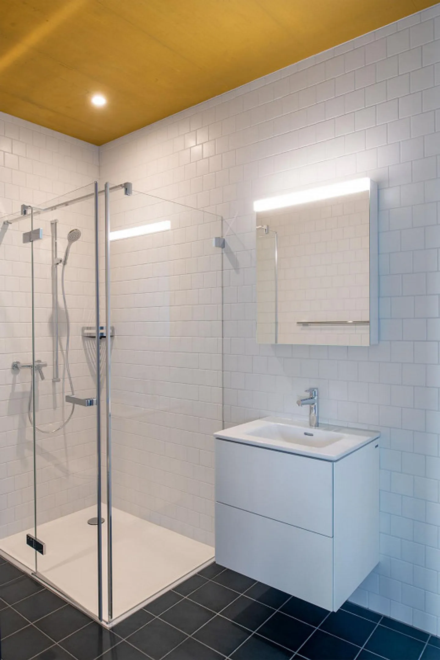 Your dream apartment in the new Riverside district in Zuchwil - Photo 5 of 5