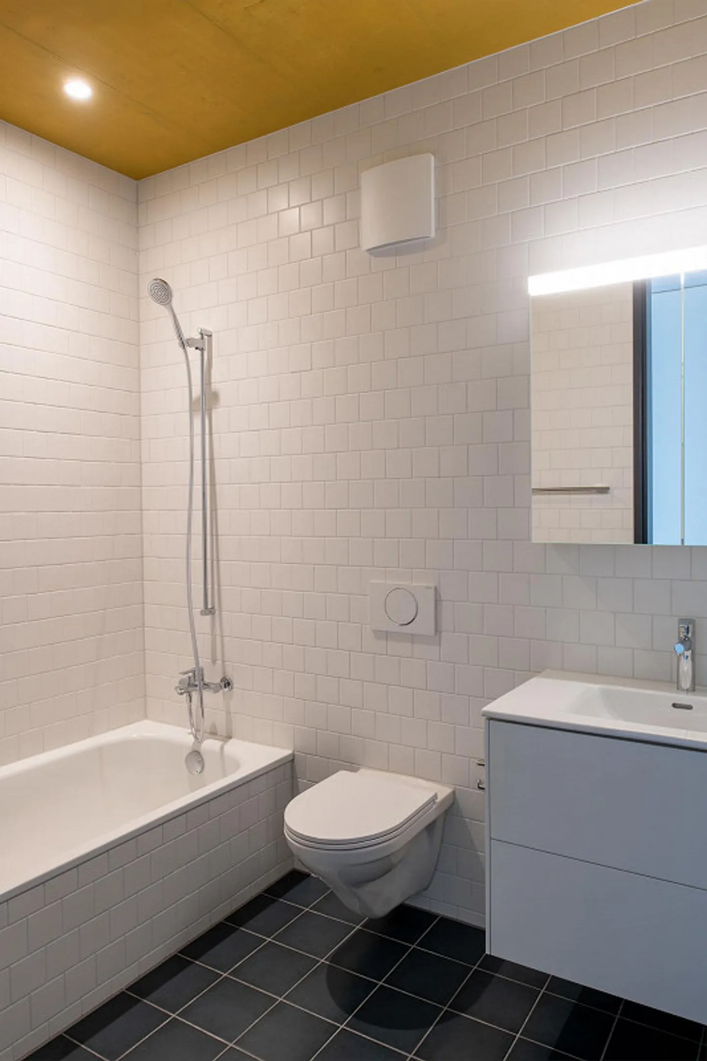 Your dream apartment in the new Riverside district in Zuchwil - Photo 4 of 5