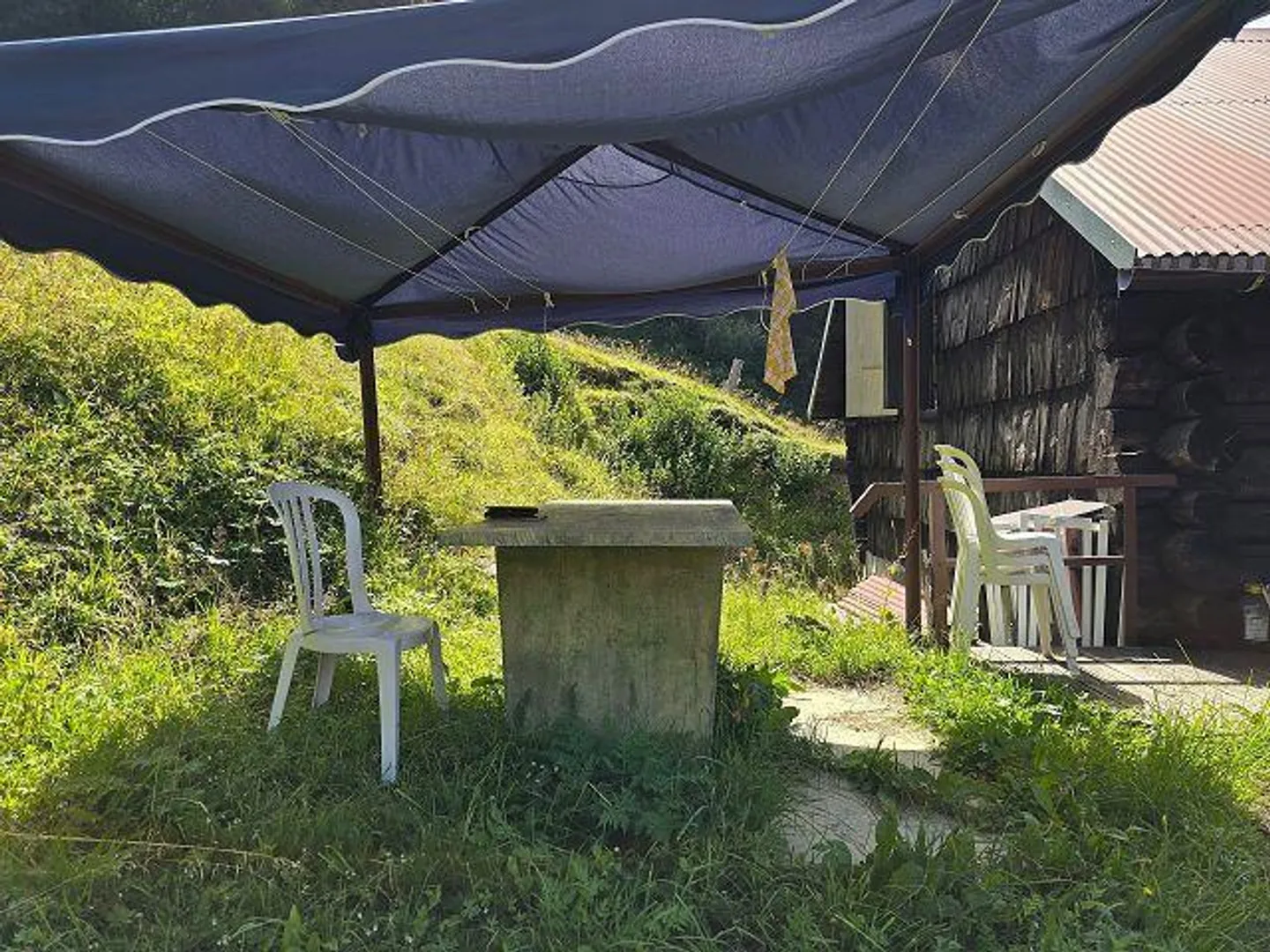 «31/2-Zimmer-Rustico an sehr ruhiger, sonniger Aussichtslage mit viel Land /Cascina di 3,5 loc. in mezza alla natura con grande terreno» - Foto 24 von 40