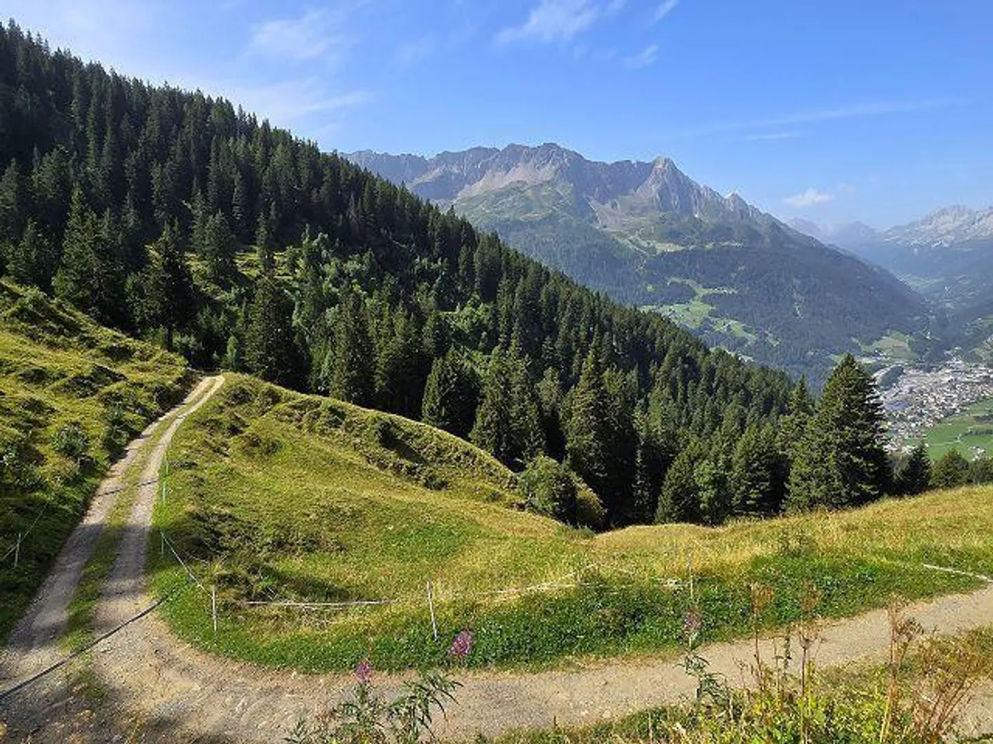 «31/2-Zimmer-Rustico an sehr ruhiger, sonniger Aussichtslage mit viel Land /Cascina di 3,5 loc. in mezza alla natura con grande terreno» - Foto 26 von 40