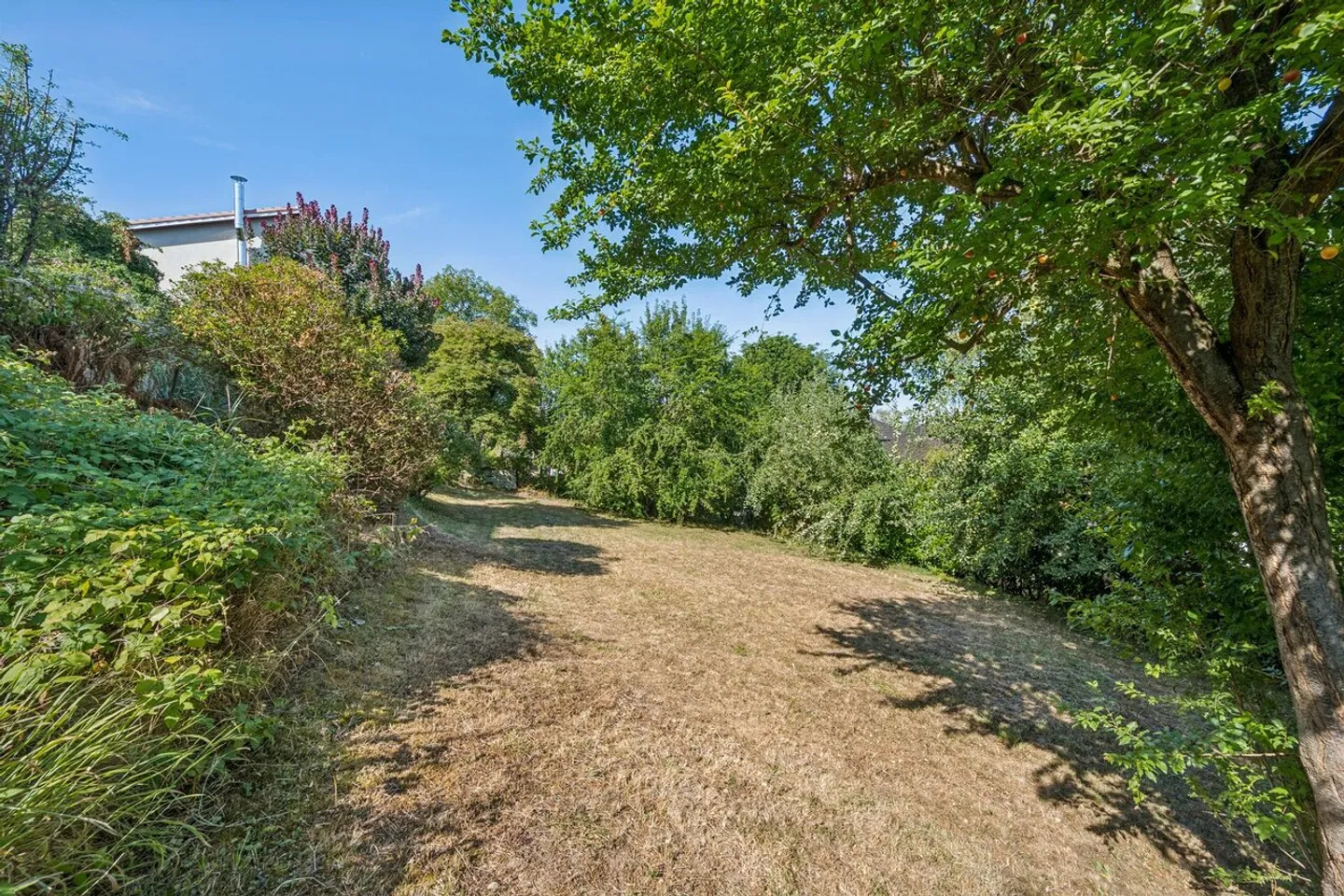 Prime Building Lot in Riehen - Photo 1 of 3