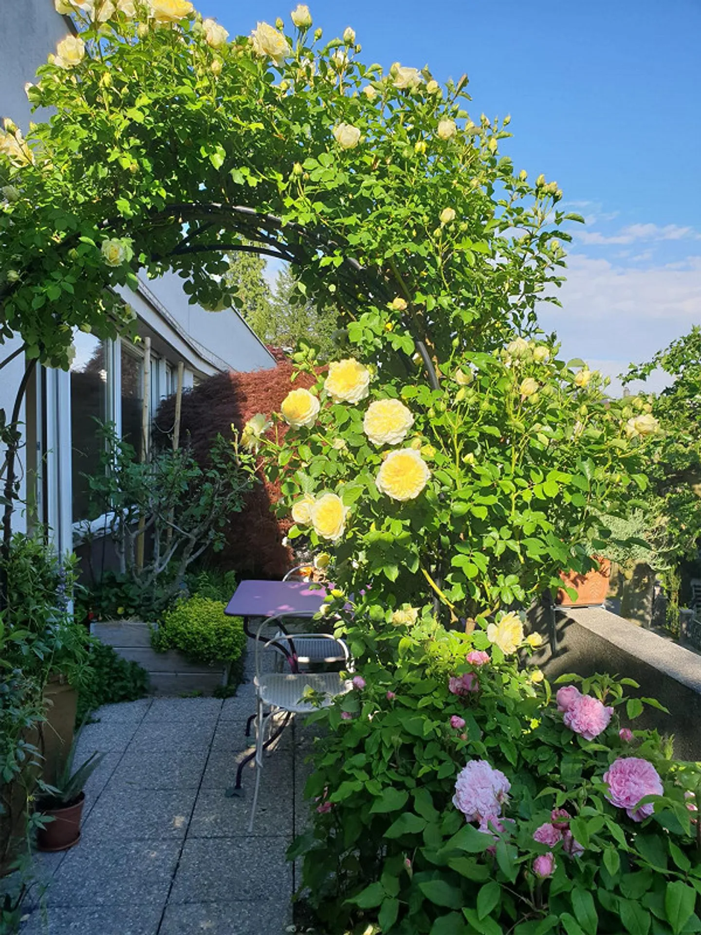 Charmante 4.5-Zimmer-Wohnung mit Garten - Foto 7 von 14