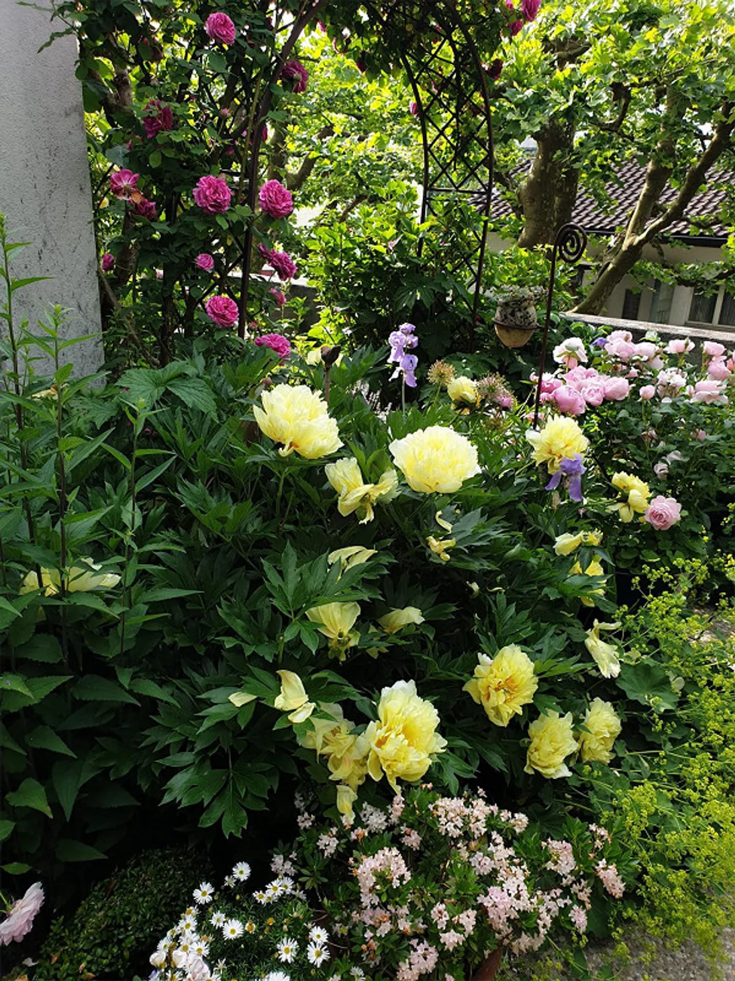 Charmante 4.5-Zimmer-Wohnung mit Garten - Foto 8 von 14