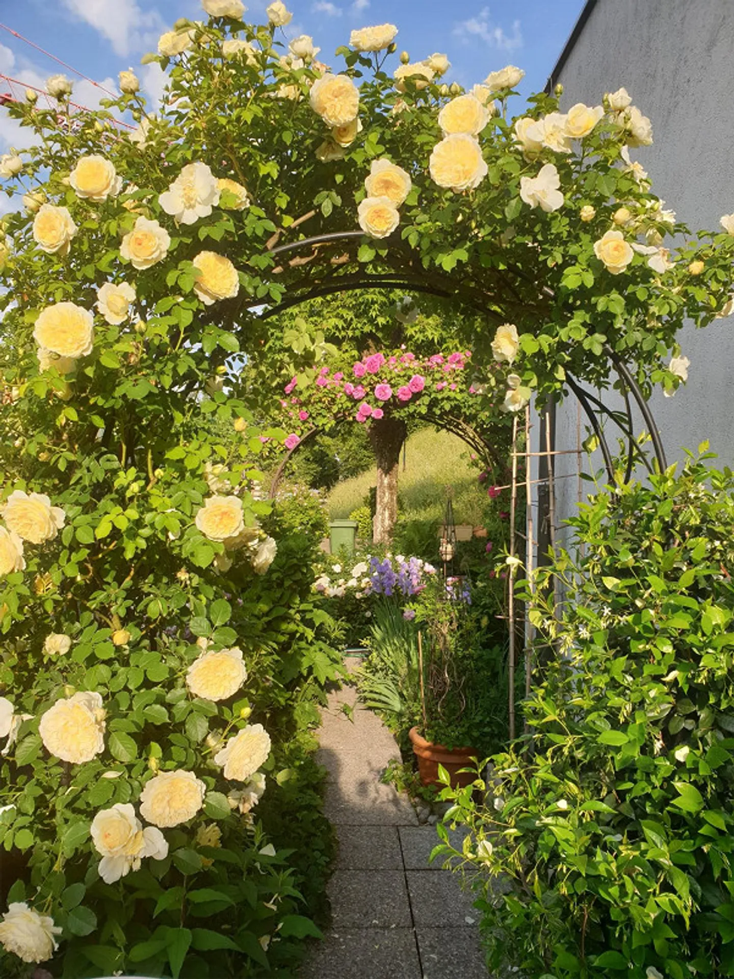 Charmante 4.5-Zimmer-Wohnung mit Garten - Foto 9 von 14