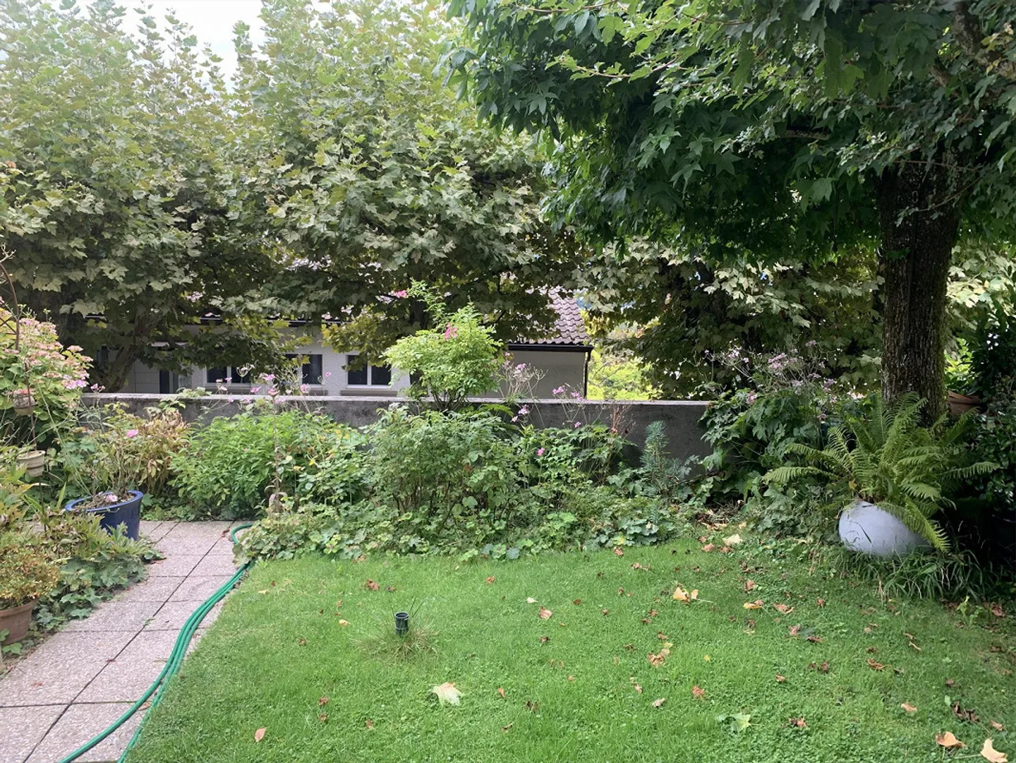 Charmante 4.5-Zimmer-Wohnung mit Garten - Foto 10 von 14