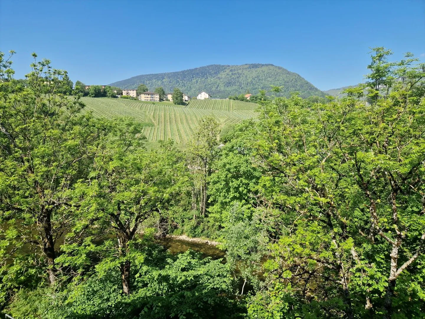 Bright 4.5 rooms with a view of the Areuse and the vineyards. - Photo 1 of 8