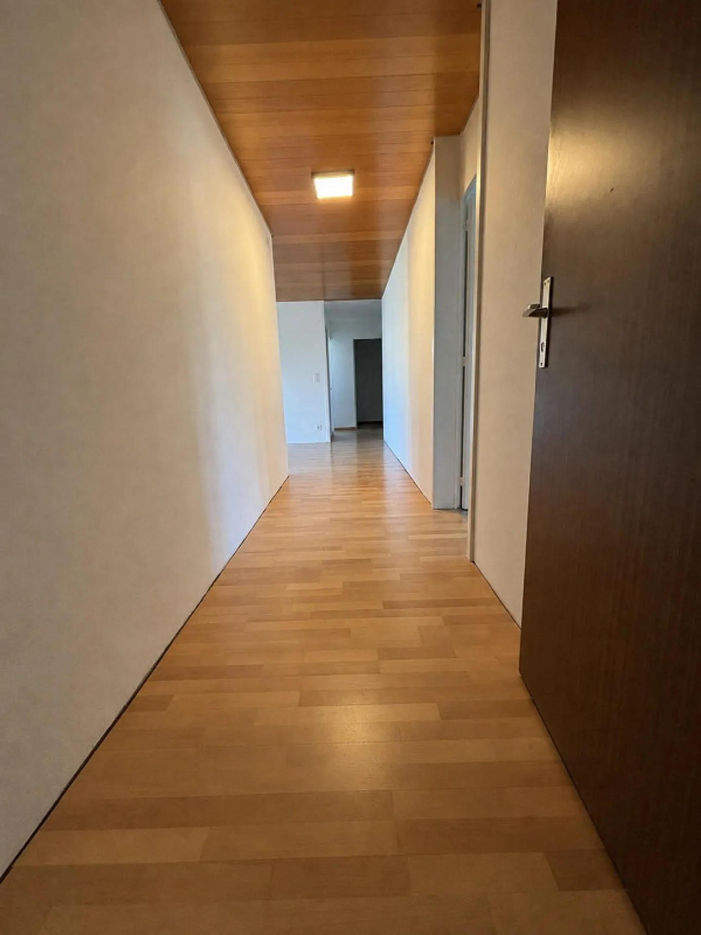Ampio appartamento di 4,5 stanze con balcone e vista sulle montagne a Thun - Foto 5 di 12