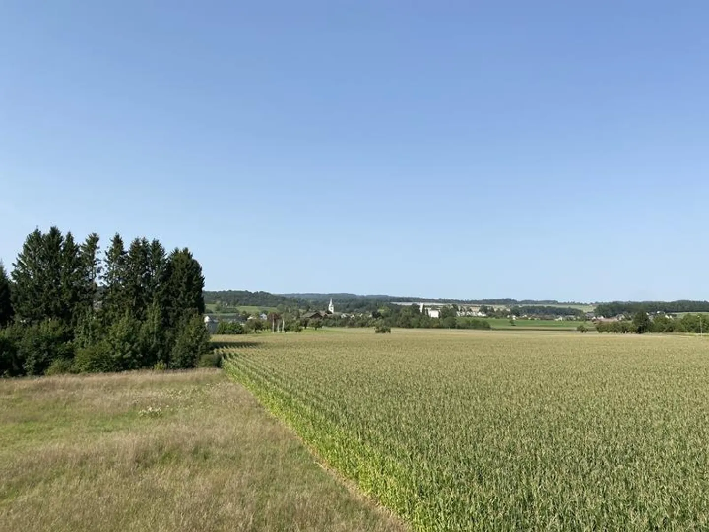 Réalisez votre rêve maintenant - Acquérir une maison à Müllheim TG (Maison A) - Photo 2 sur 13