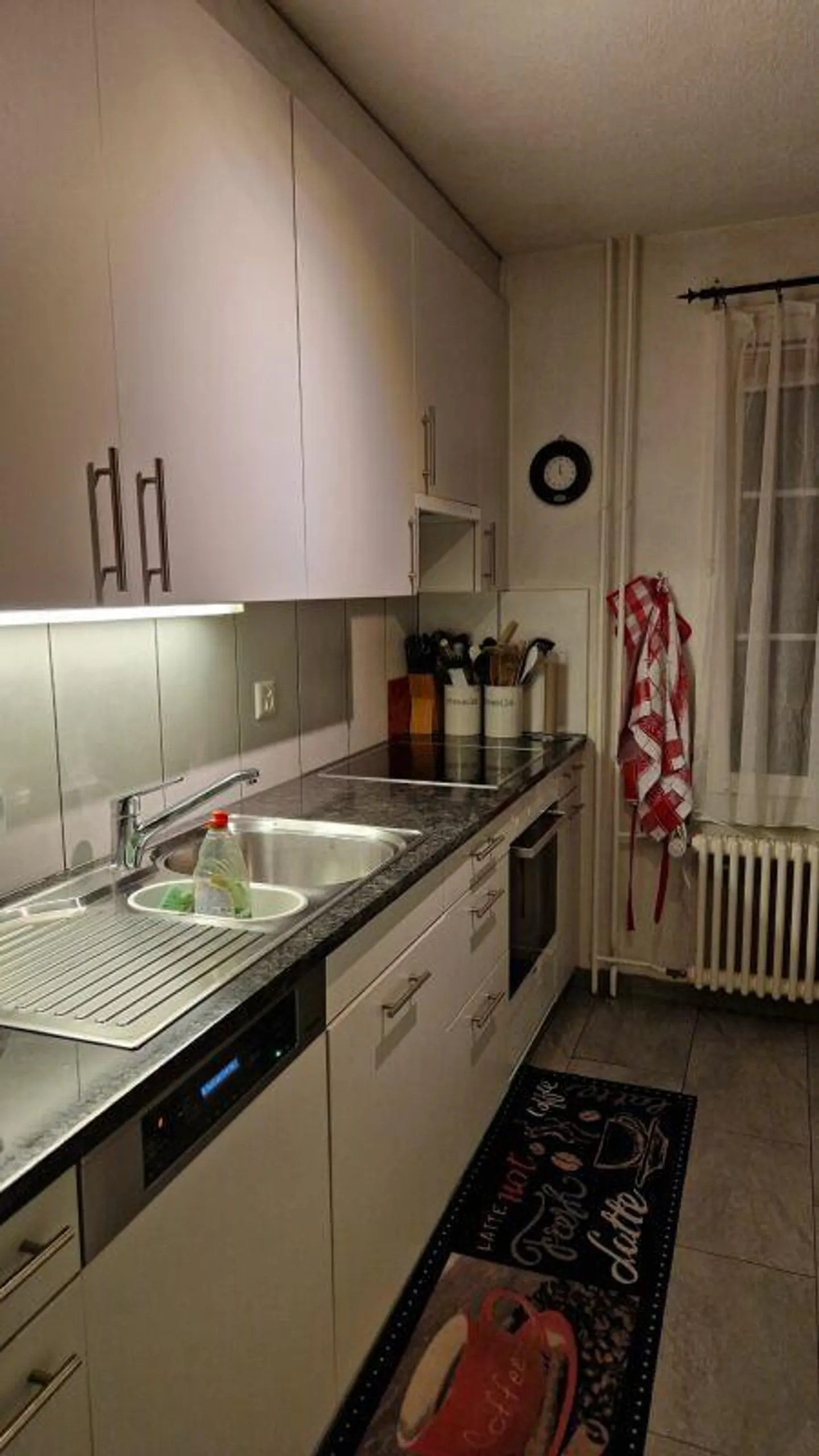 Geräumige Wohnung in Rapperswil - Foto 2 von 12