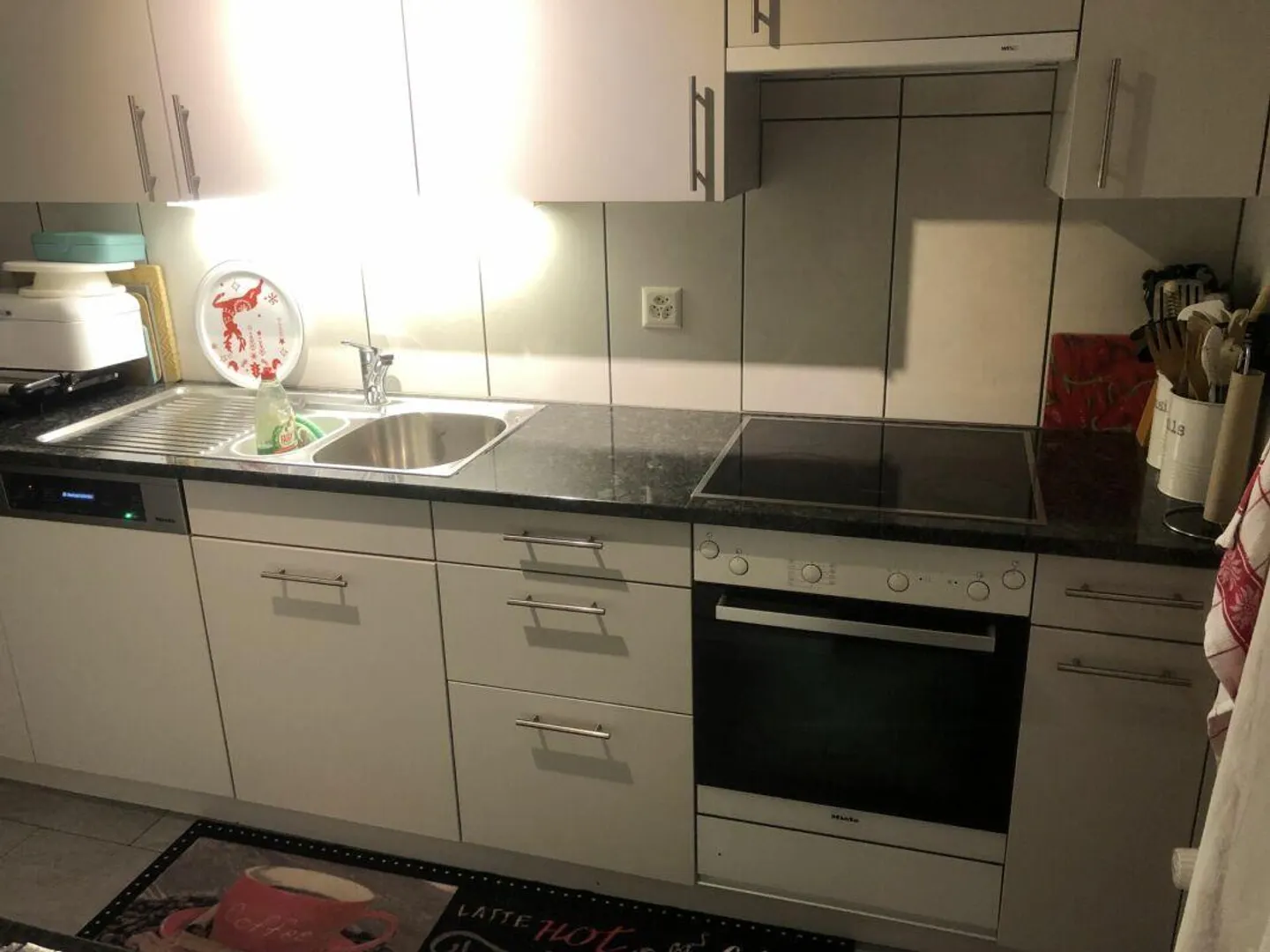 Geräumige Wohnung in Rapperswil - Foto 3 von 12