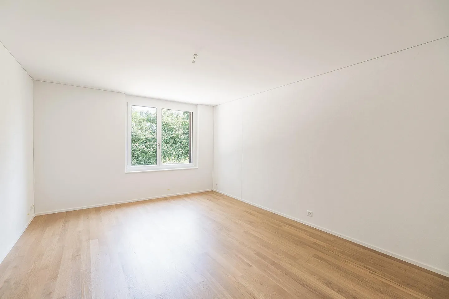 Special - 1 Room for Free! - Photo 10 of 11