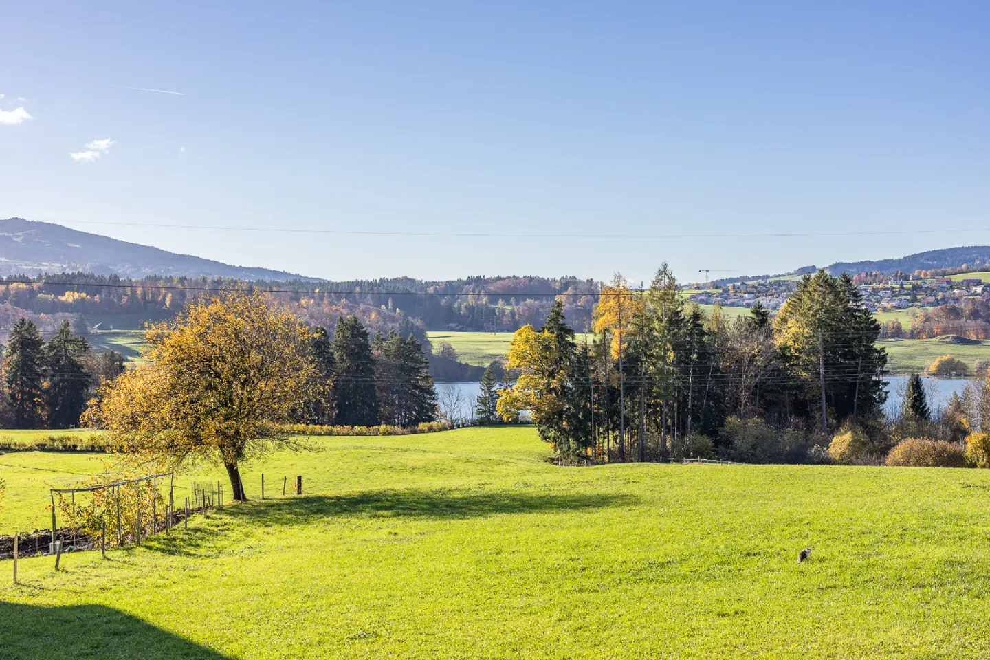 Apartment with unique location: lake view and sunset - Photo 1 of 10