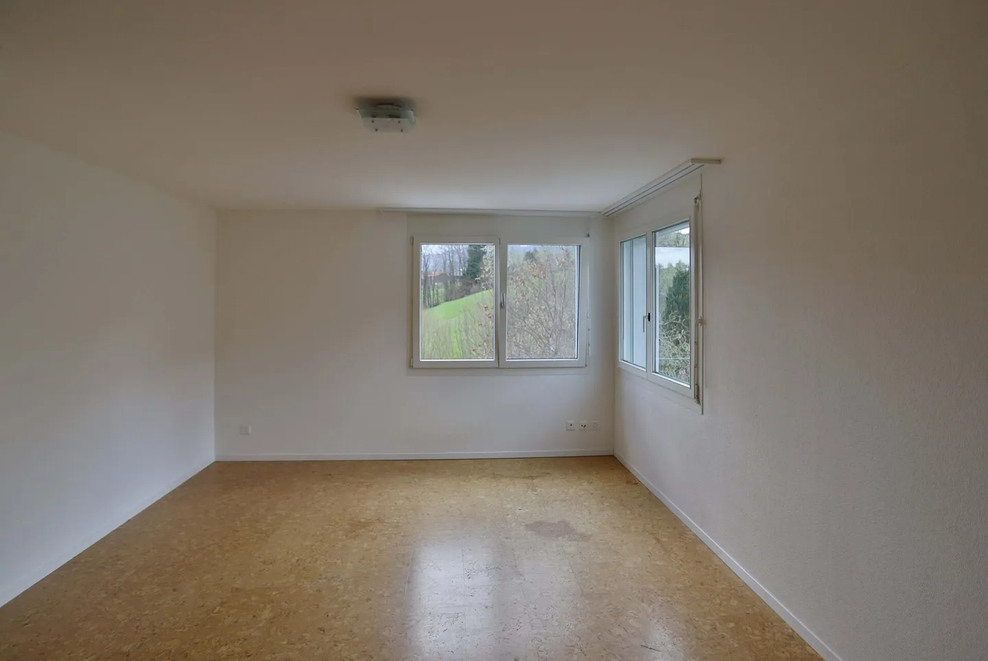 Multigenerational House with 2 Parts - Photo 7 of 14