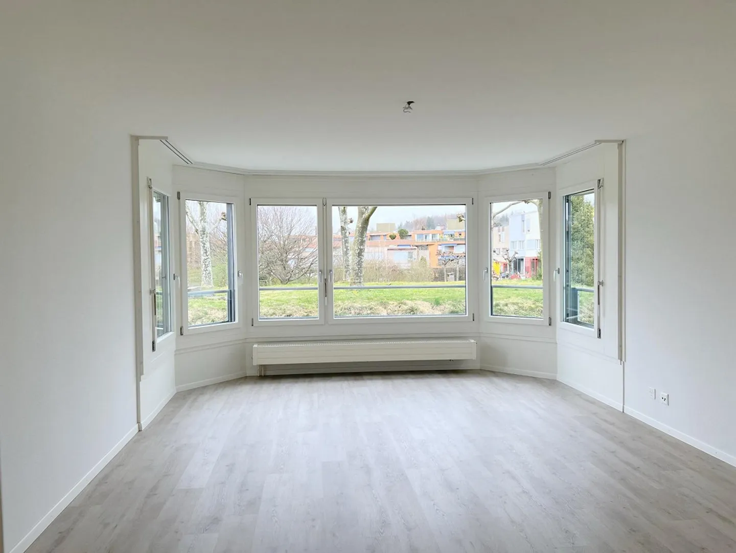 Cercasi nuovo inquilino - Studio parzialmente arredato - Foto 3 di 4