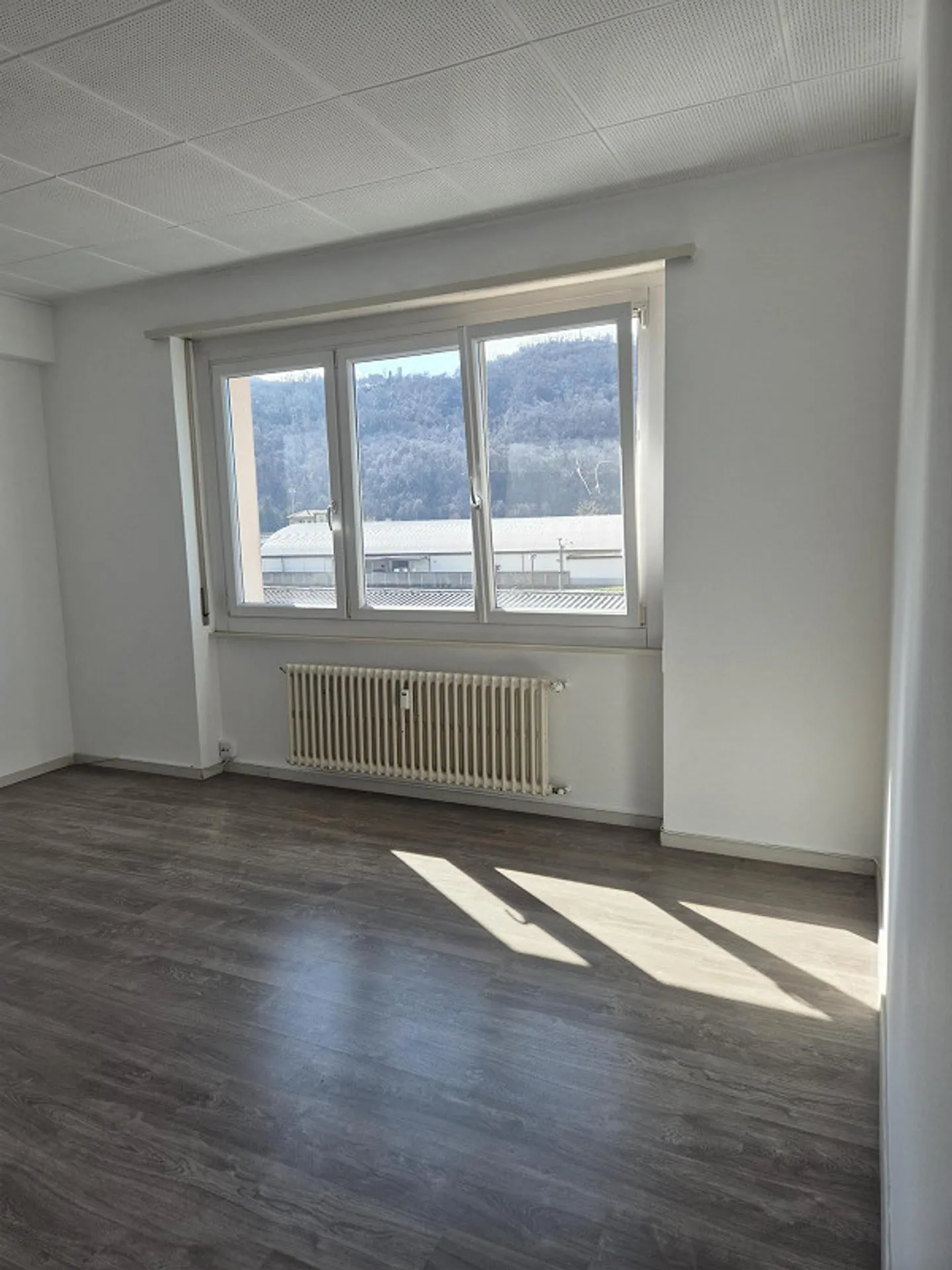 APPARTEMENT À BALERNA - Photo 17 sur 23