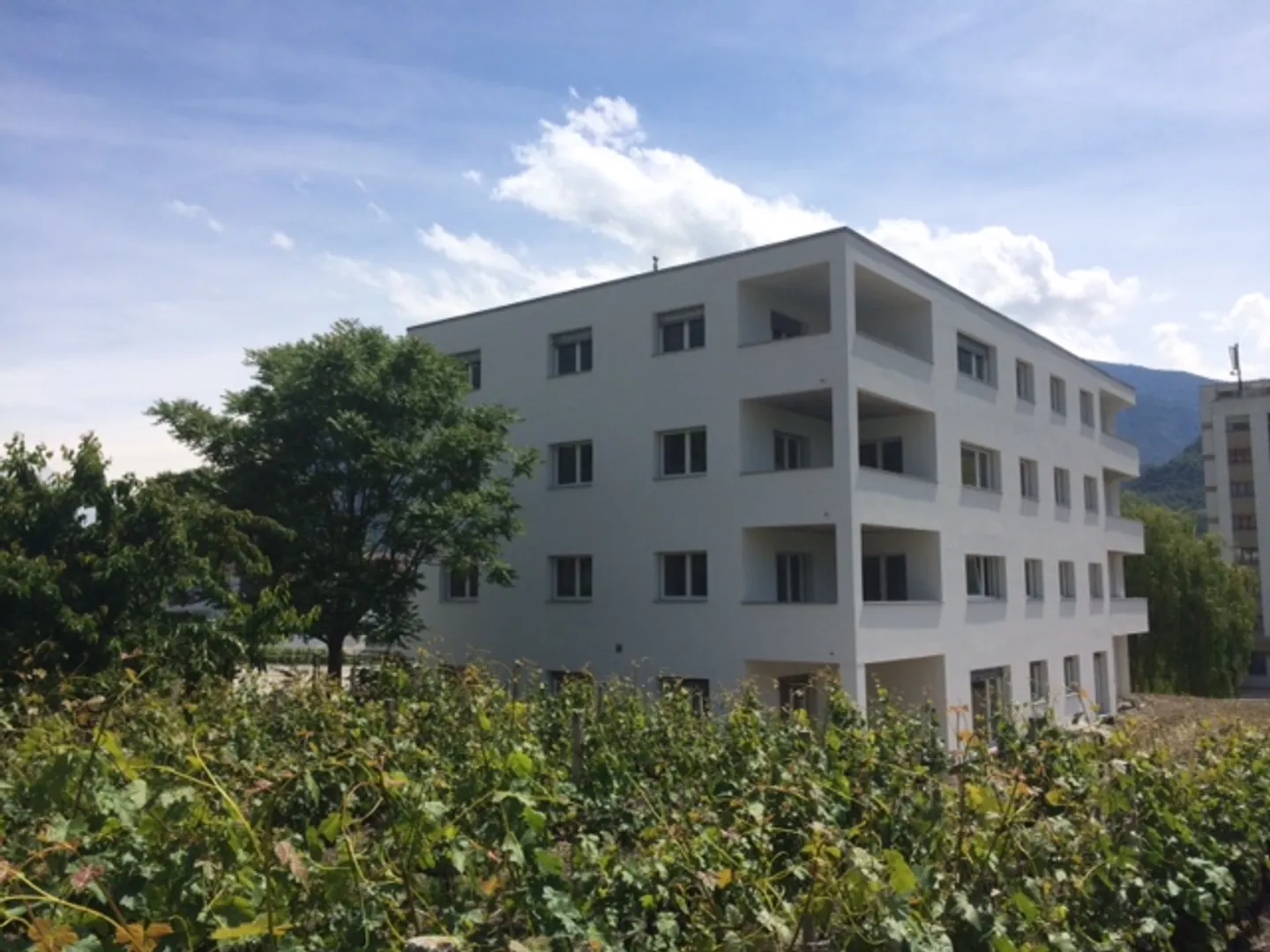 Sierre: grande appartamento di 3 stanze vicino al centro città - Foto 1 di 6
