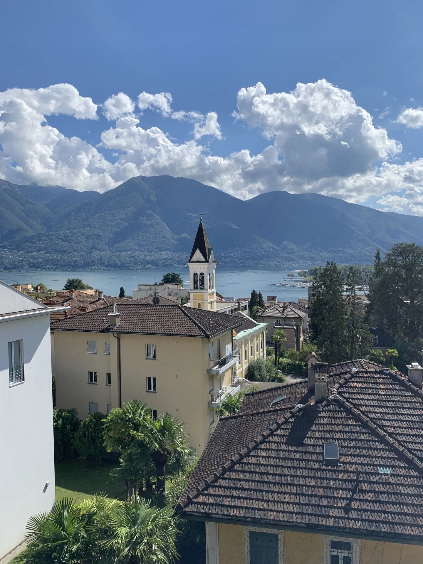 Attico Muralto 4.5 locali - Anche residenza secondaria - Foto 2 di 14