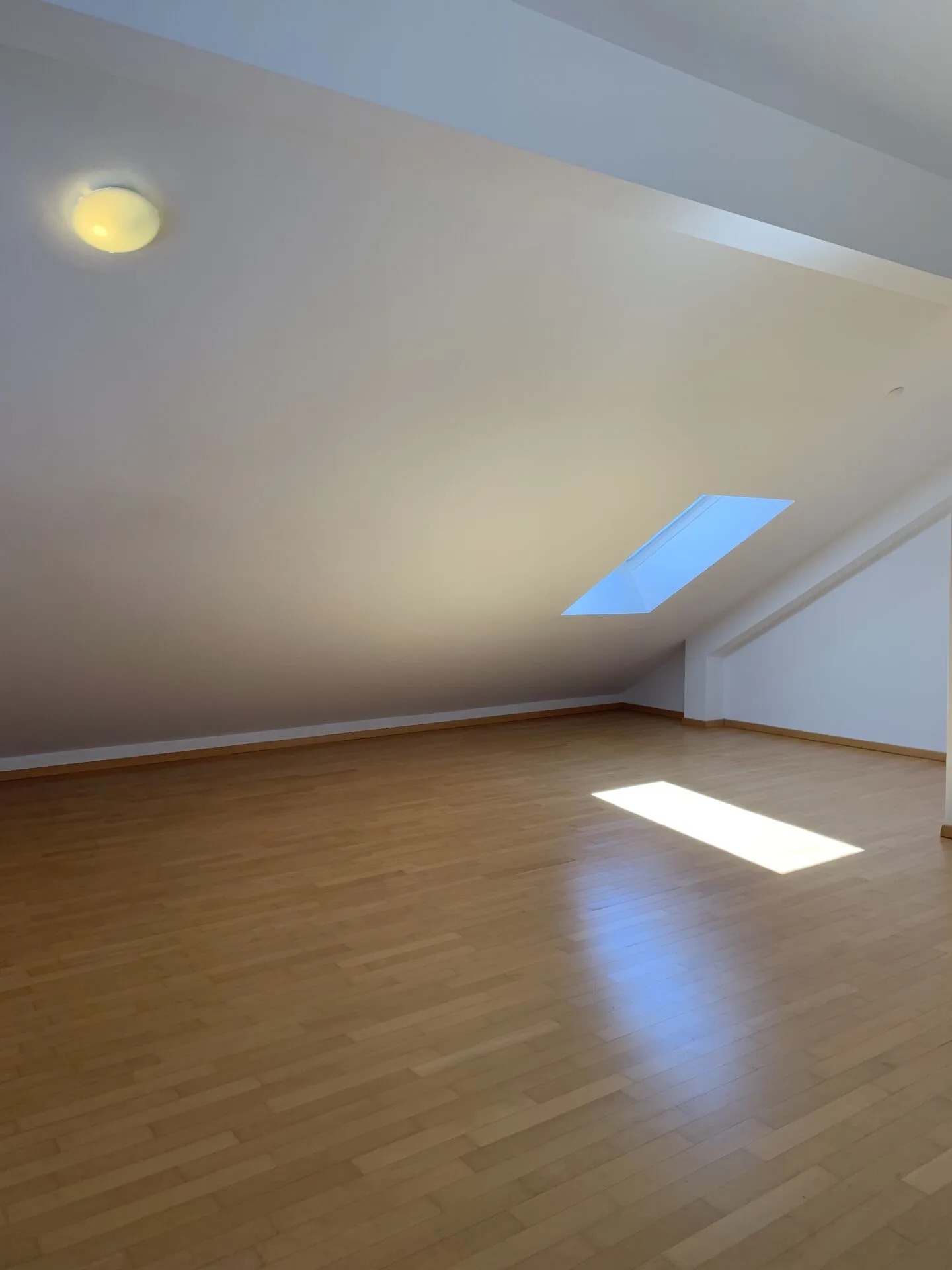 Attico Muralto 4.5 locali - Anche residenza secondaria - Foto 5 di 14