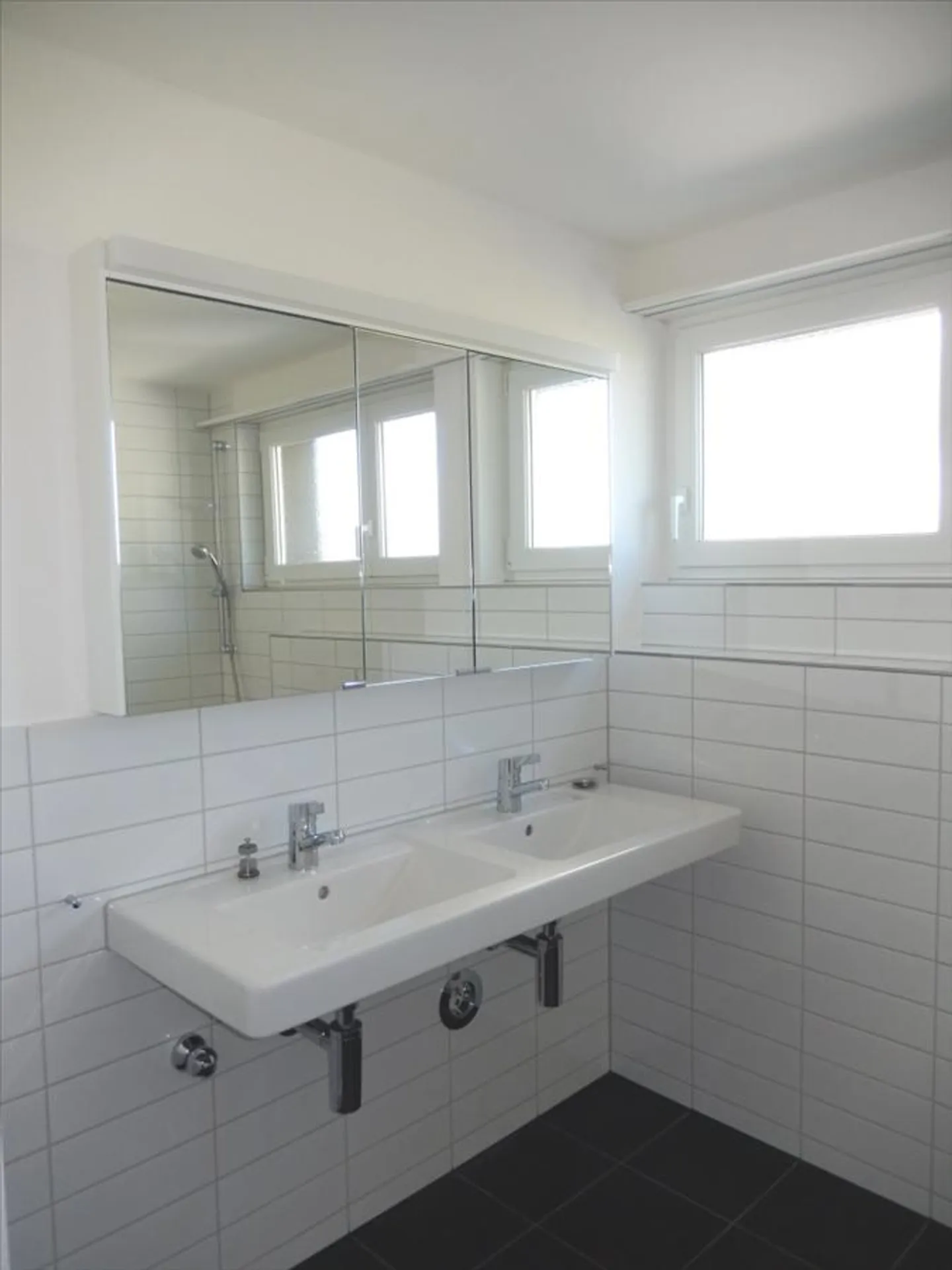 4.5 room apartment on the 1st floor with lake view - Photo 5 of 11