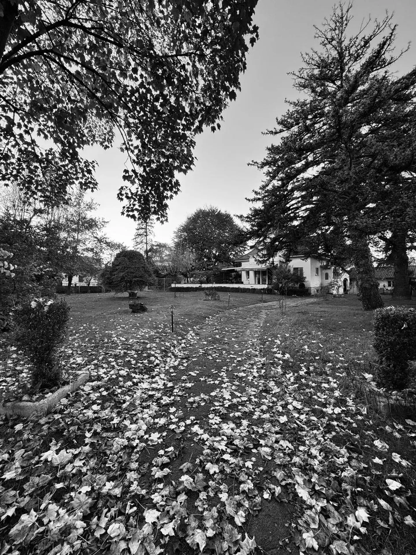 Terrain rare a Meyrin - Photo 1 sur 1